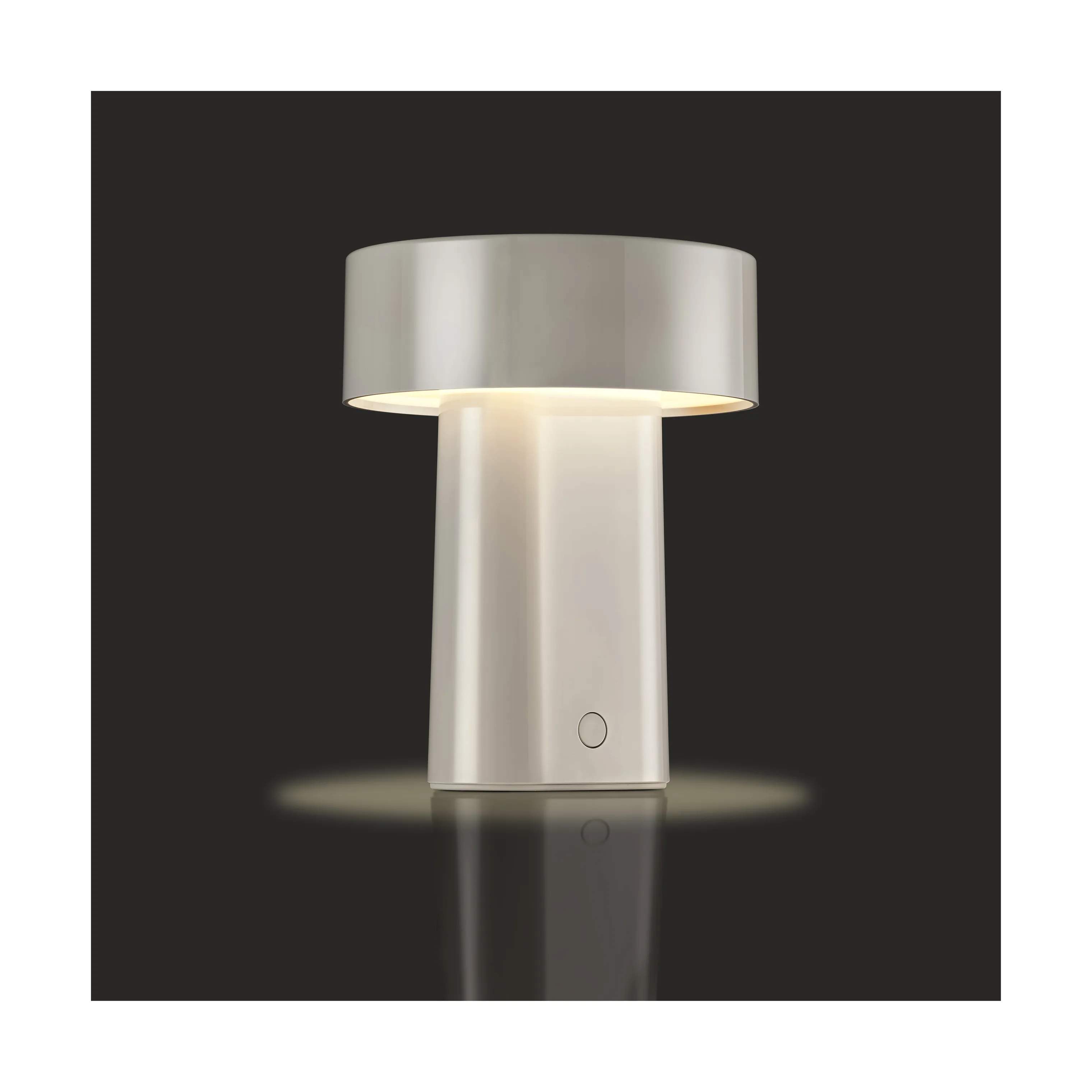 Zone LED-lamper Oblong LED Lampe i Grå, 4
