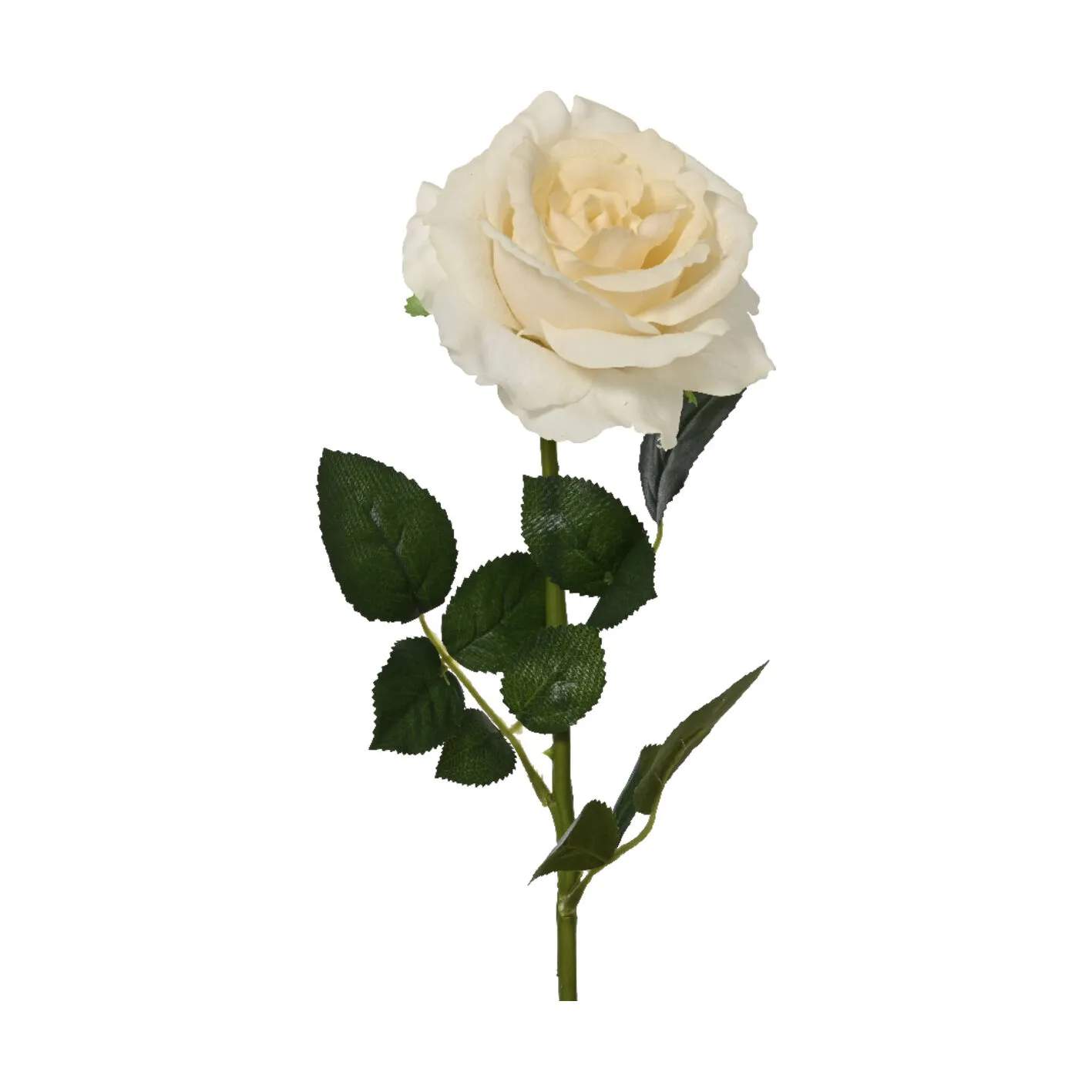 CASA Living Kunstige blomster Kunstig Blomst - Rose i Beige, 1