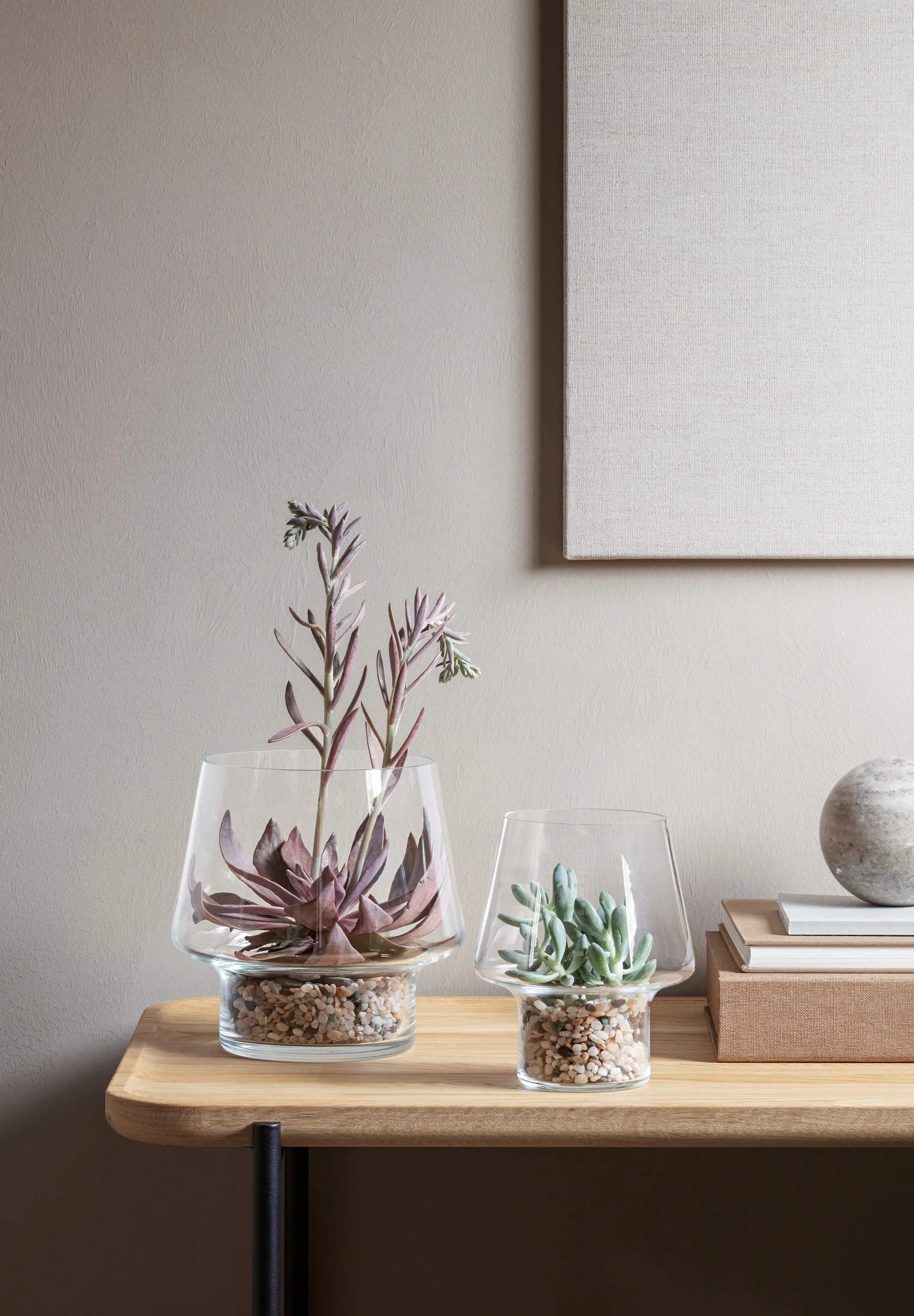 Eva Solo Vaser Sukkulent Vase i Klar, 20,7 cm, 2