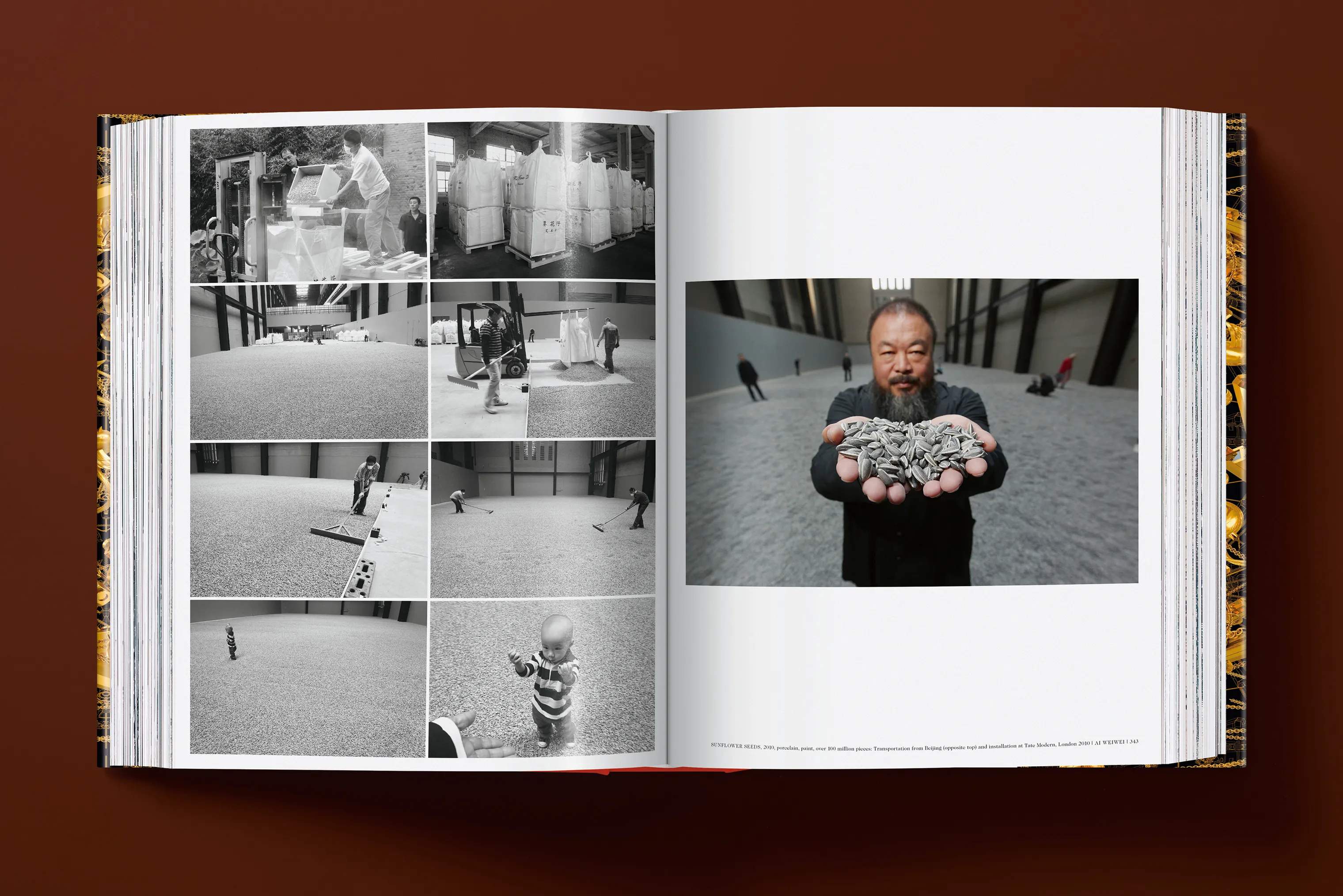 Taschen Bøger AI WEIWEI i Guldfarvet, 2
