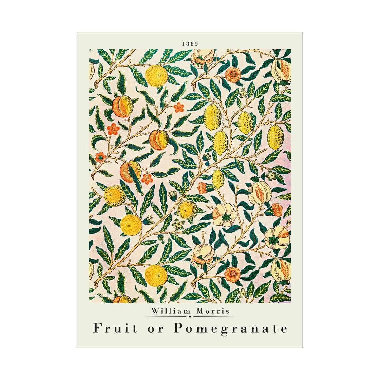 Poster&Frame Plakater Plakat - Pomegranate i Multifarvet, 1