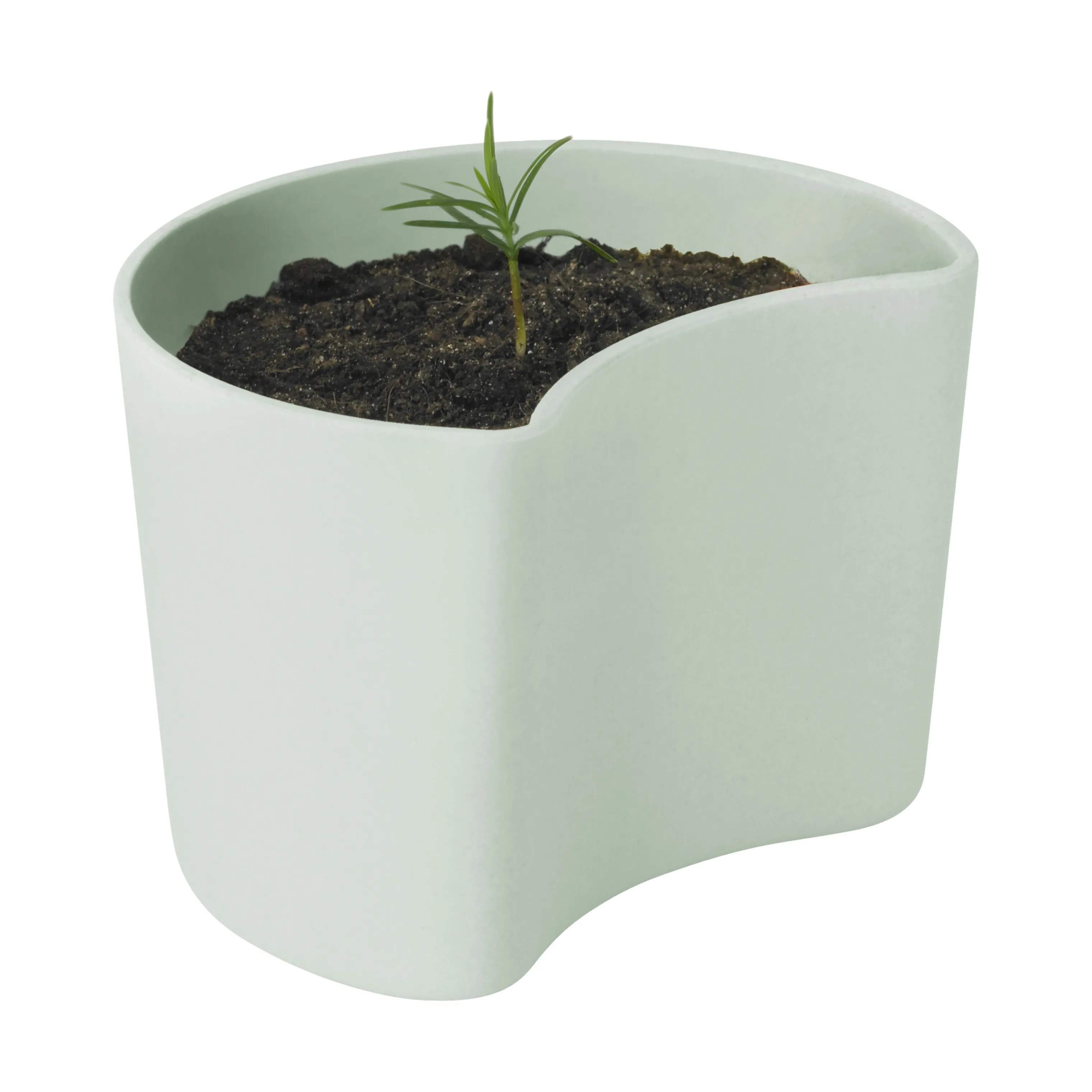 Rig-Tig Plantekrukker Your Tree Plantepotte m. fyrrefrø i Grøn, 7 cm, 2