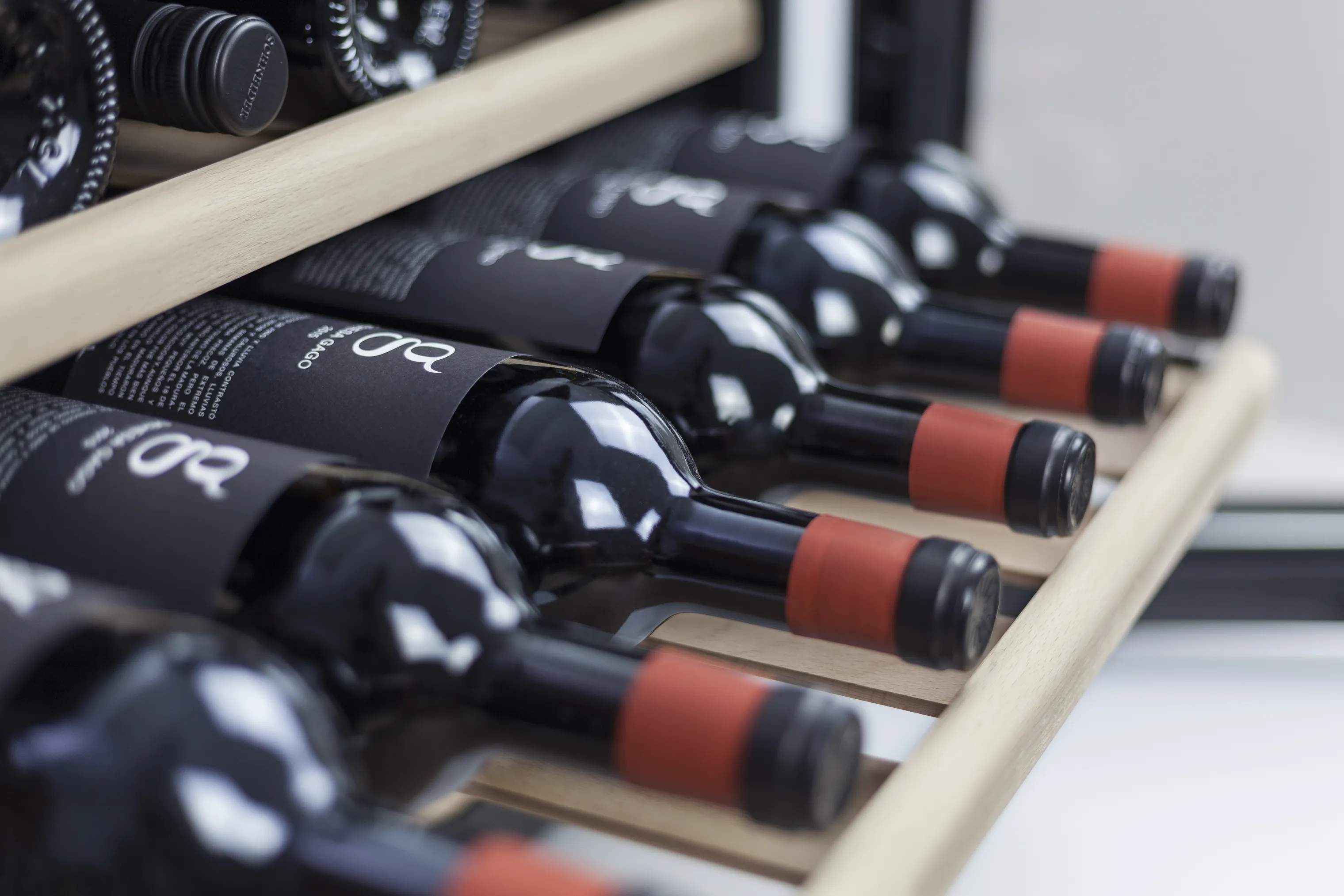 Caso Vinkøleskabe Winesafe Vinkøleskab i Sort, 2