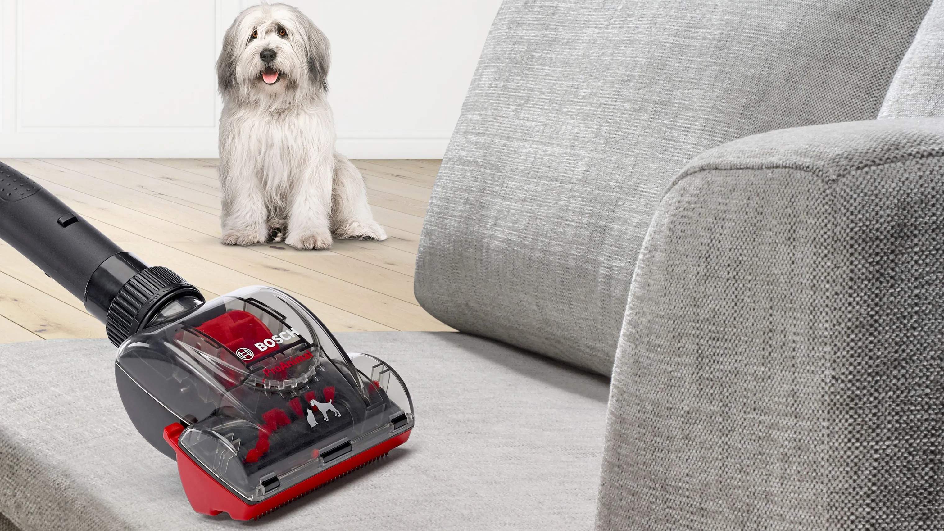 Bosch Støvsugere Poseløs støvsuger BGS41PET1 Serie 6 i Rød, 5