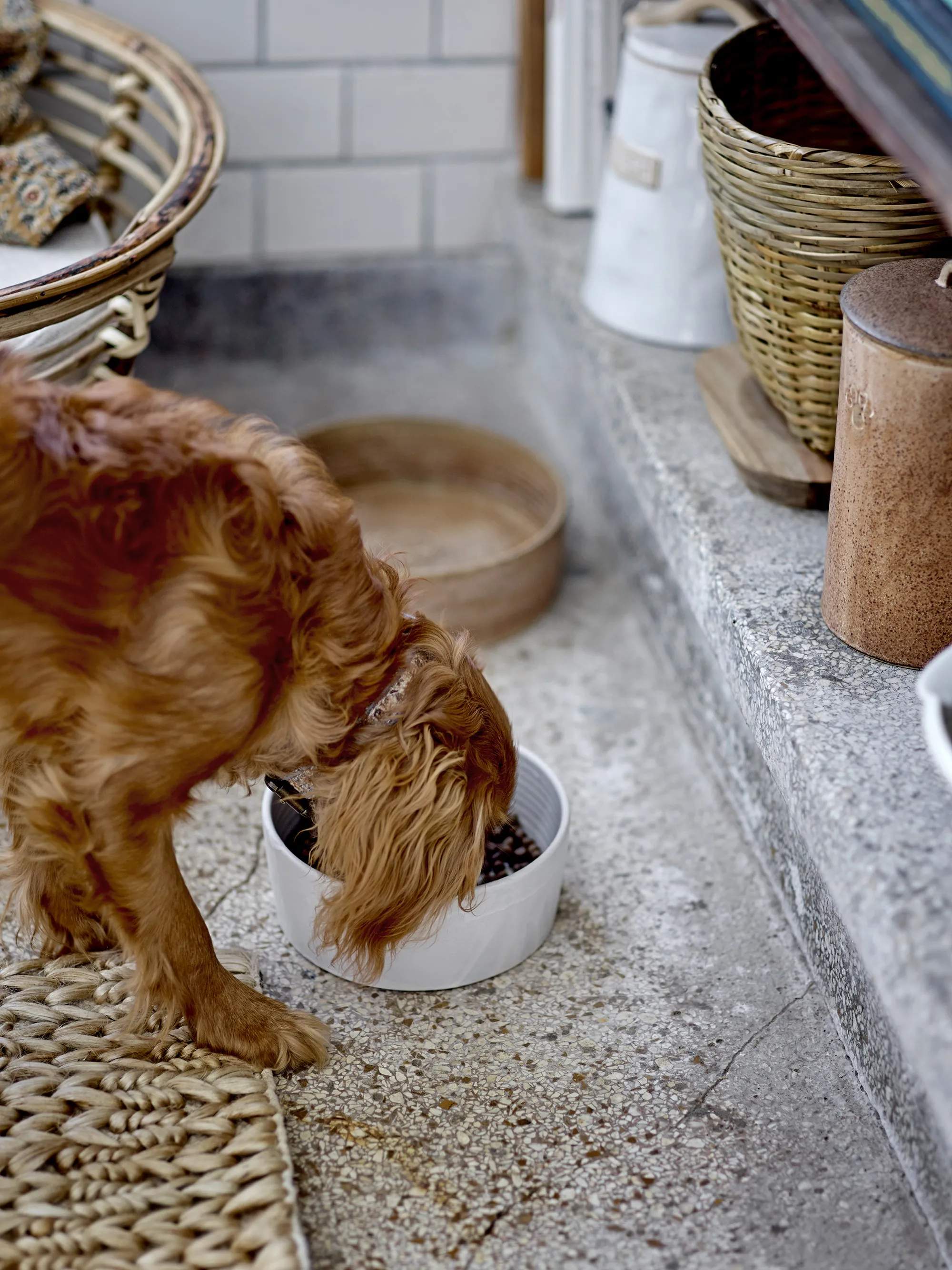 Bloomingville Tilbehør til kæledyr Buddy Pet Krukke i Brun, 22 cm, 2