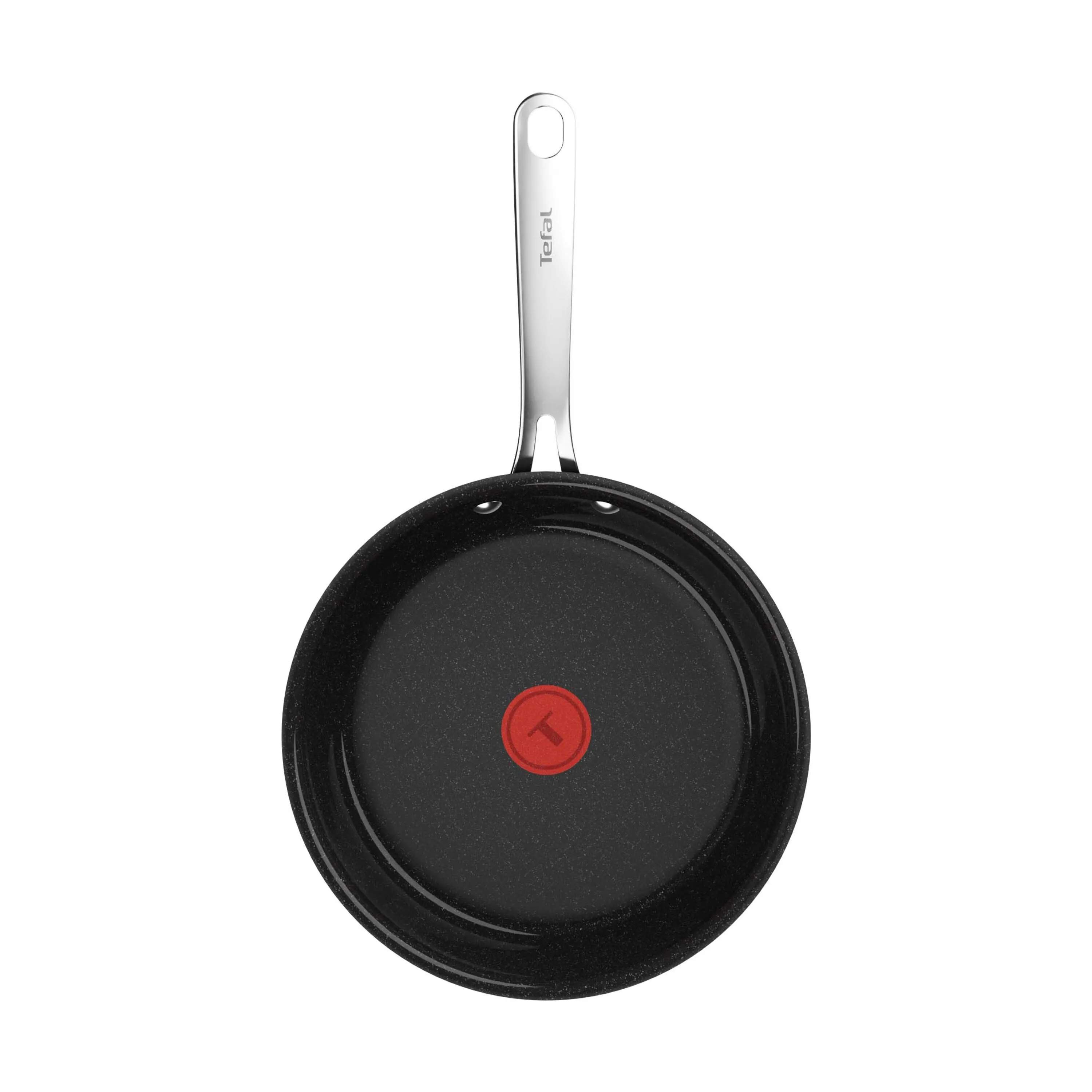 Tefal Stegepander Excellence Plus Stegepande i 24 cm, 4