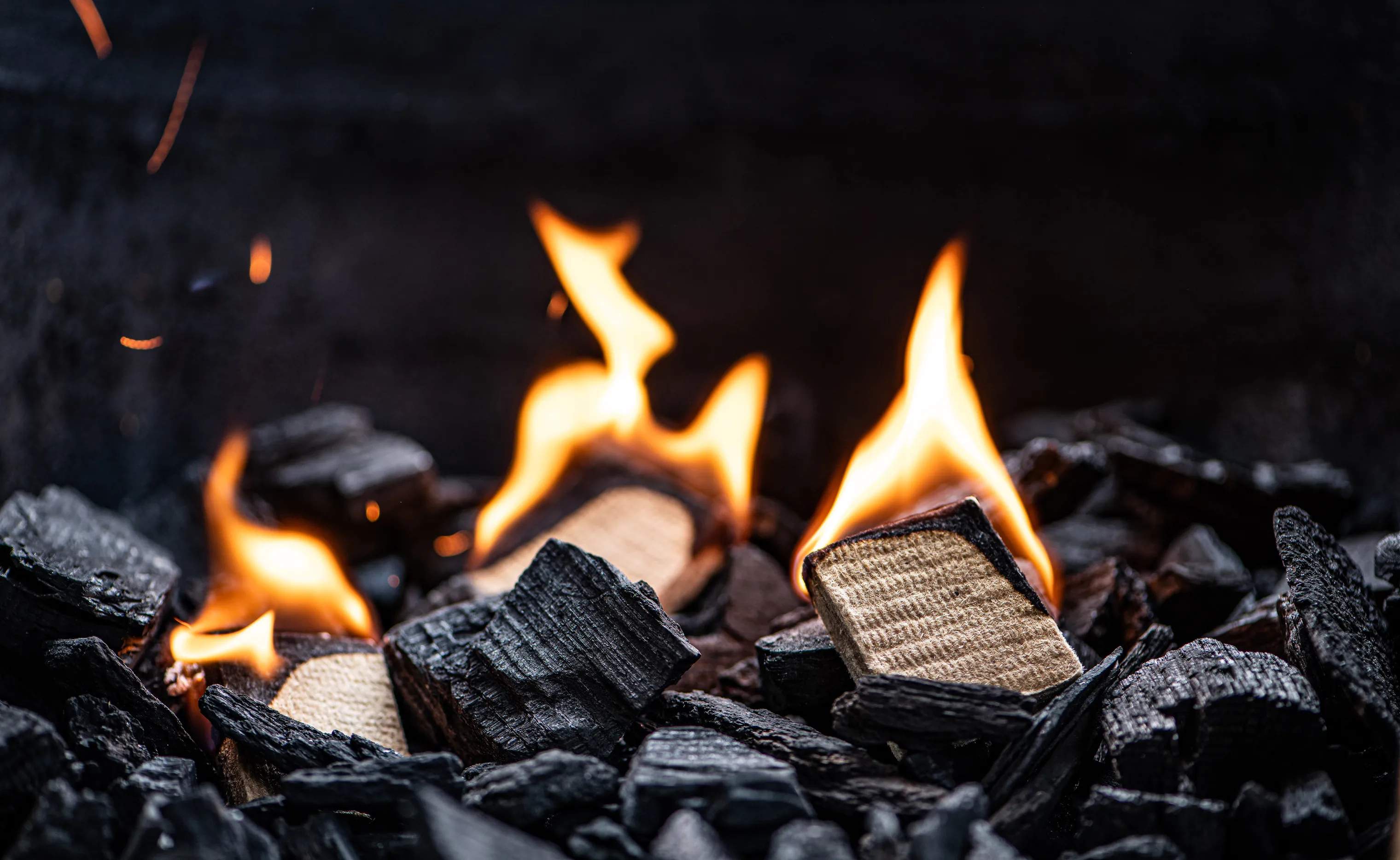 Big Green Egg Øvrigt grilltilbehør Wood & Fire Optændingsblokke - 24 stk. i Brun, 2