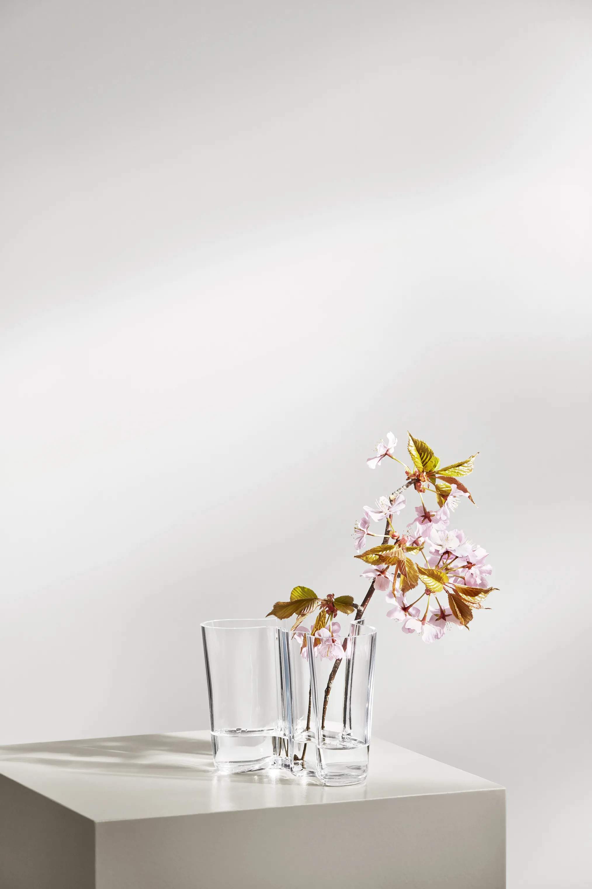 Iittala Vaser Alvar Aalto Vase i Klar, 16 cm, 2