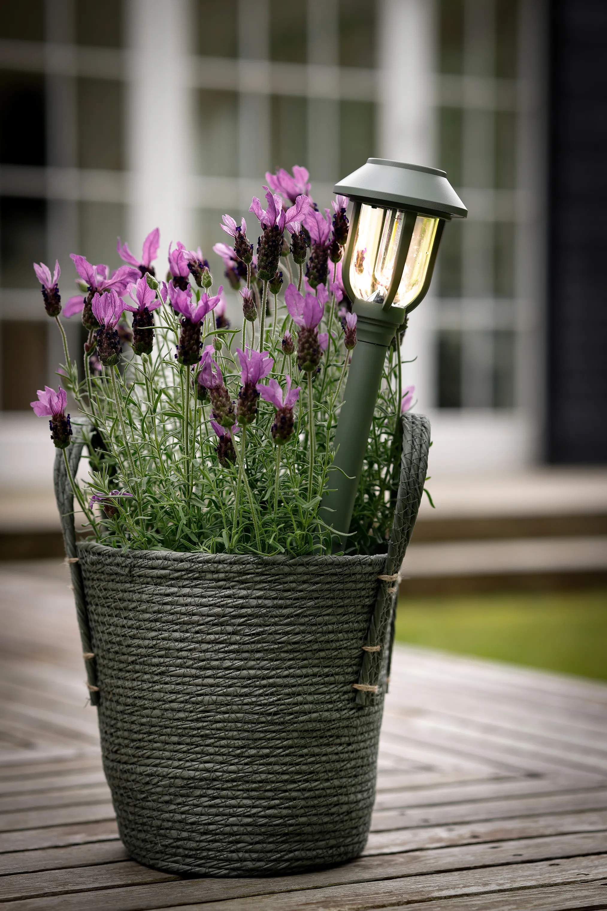 CASA Living Bedlamper LED Solar Fakkel i Grøn, 2