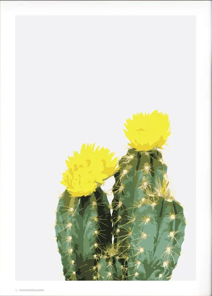 Wonderhagen plakater Plakat Opuntia Cactus
