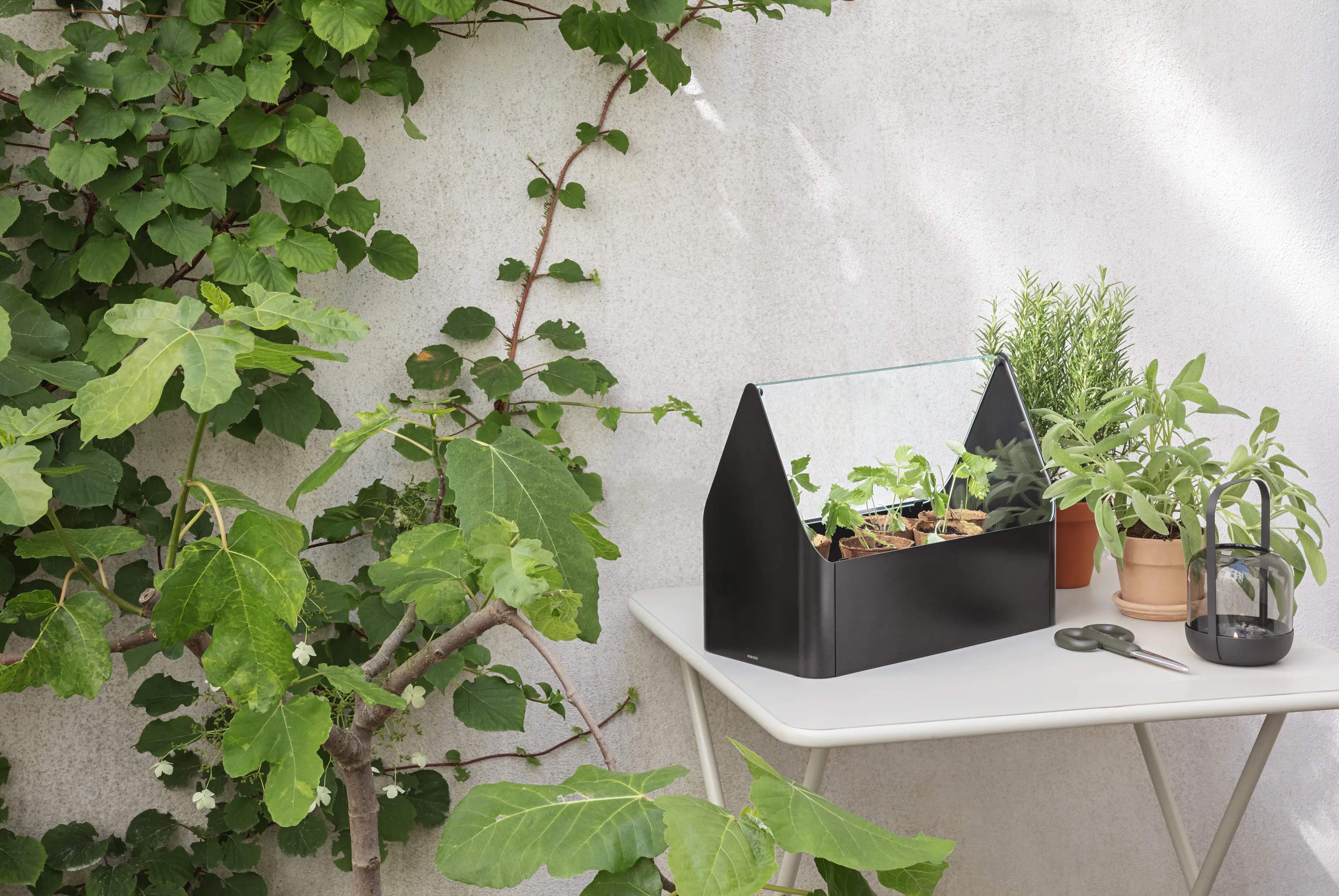 Eva Solo Altankasser Simply Grow Mini Drivhus i 32 cm, 2