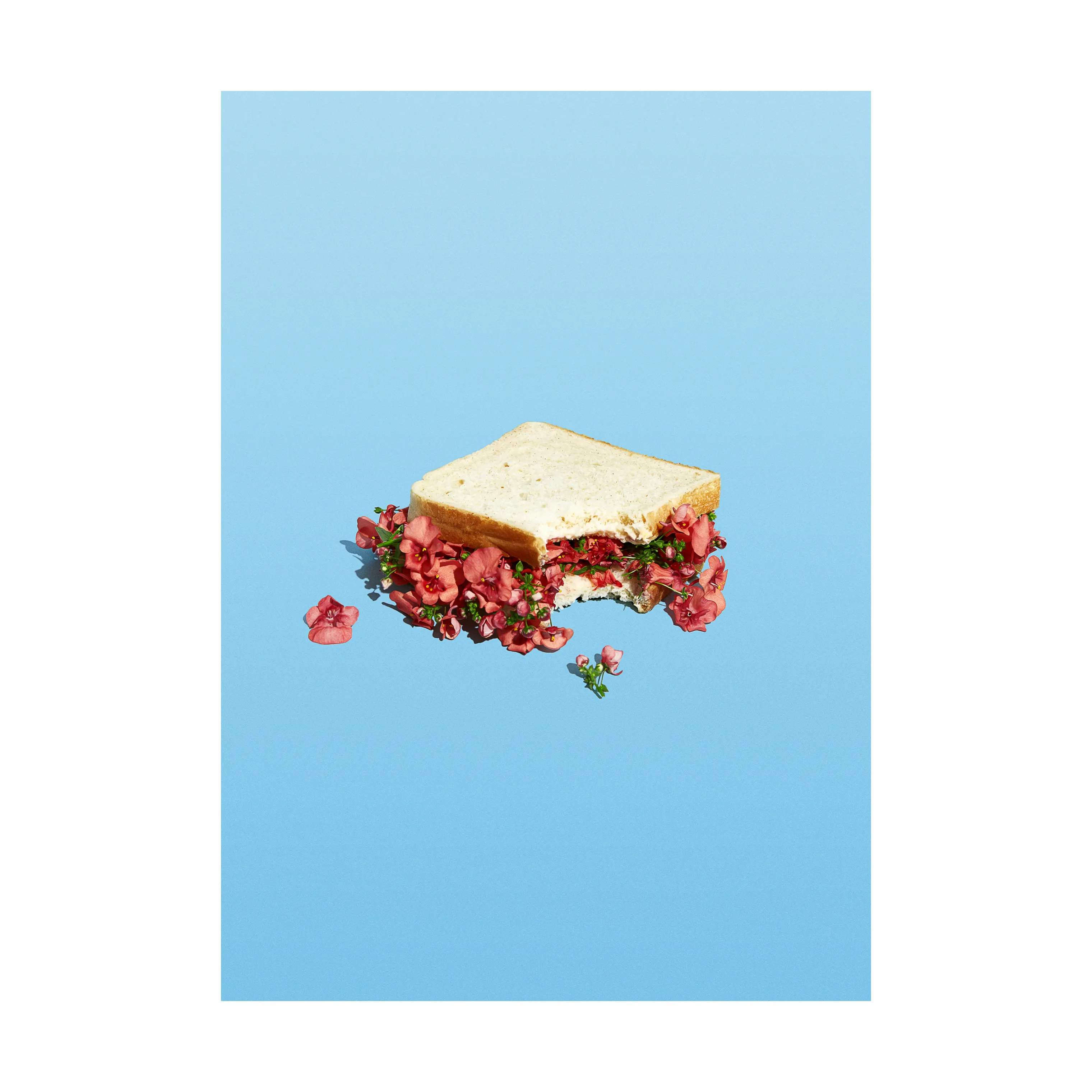 plakat - Flower sandwich, blå;beige;rød, large