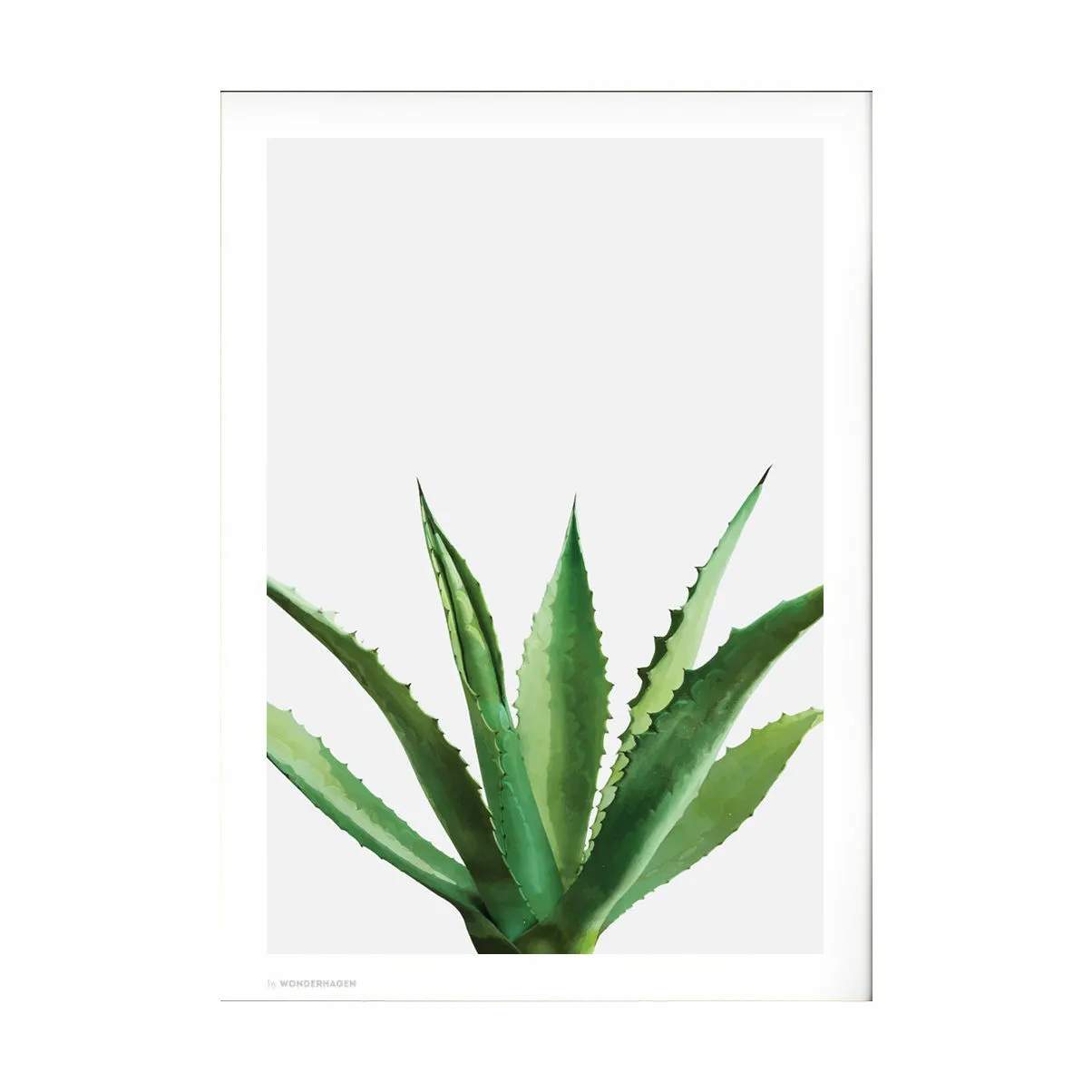 Plakat Agave, flerfarvet, large