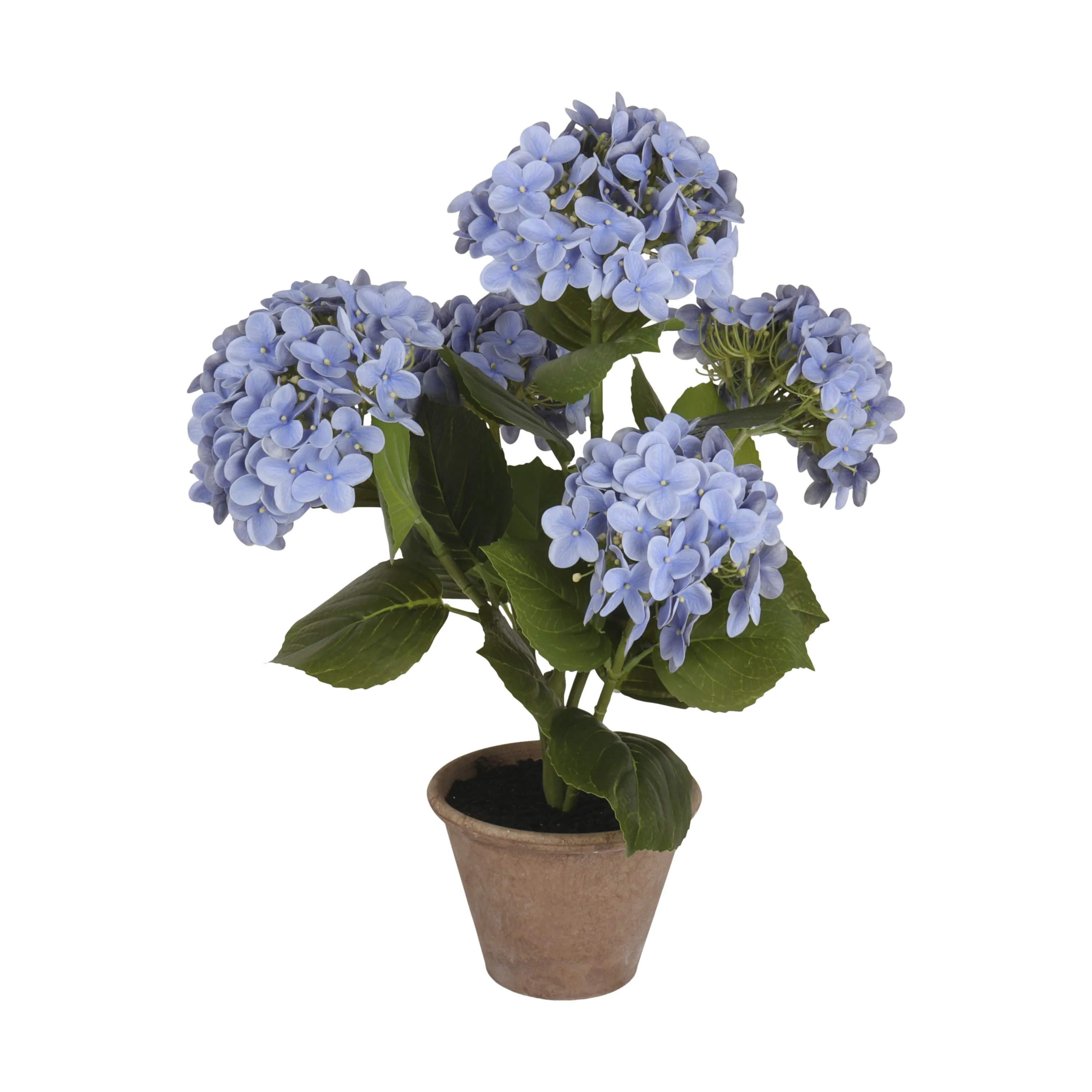 CASA Living Kunstige planter Kunstig Hortensia i Lyseblå, 55 cm, 1