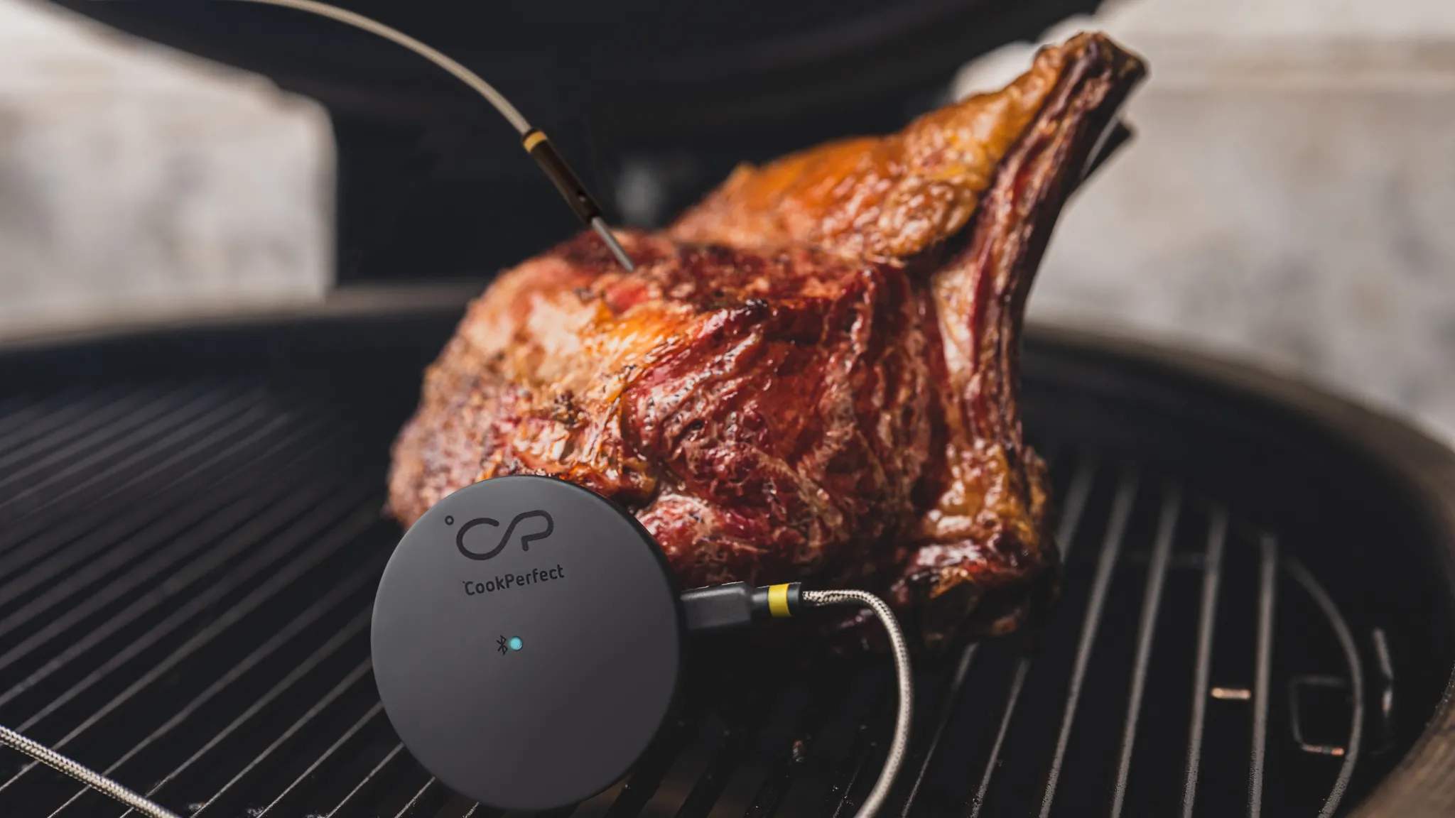Witt Stegetermometre CookPerfect Stegetermometer i Stål, 3