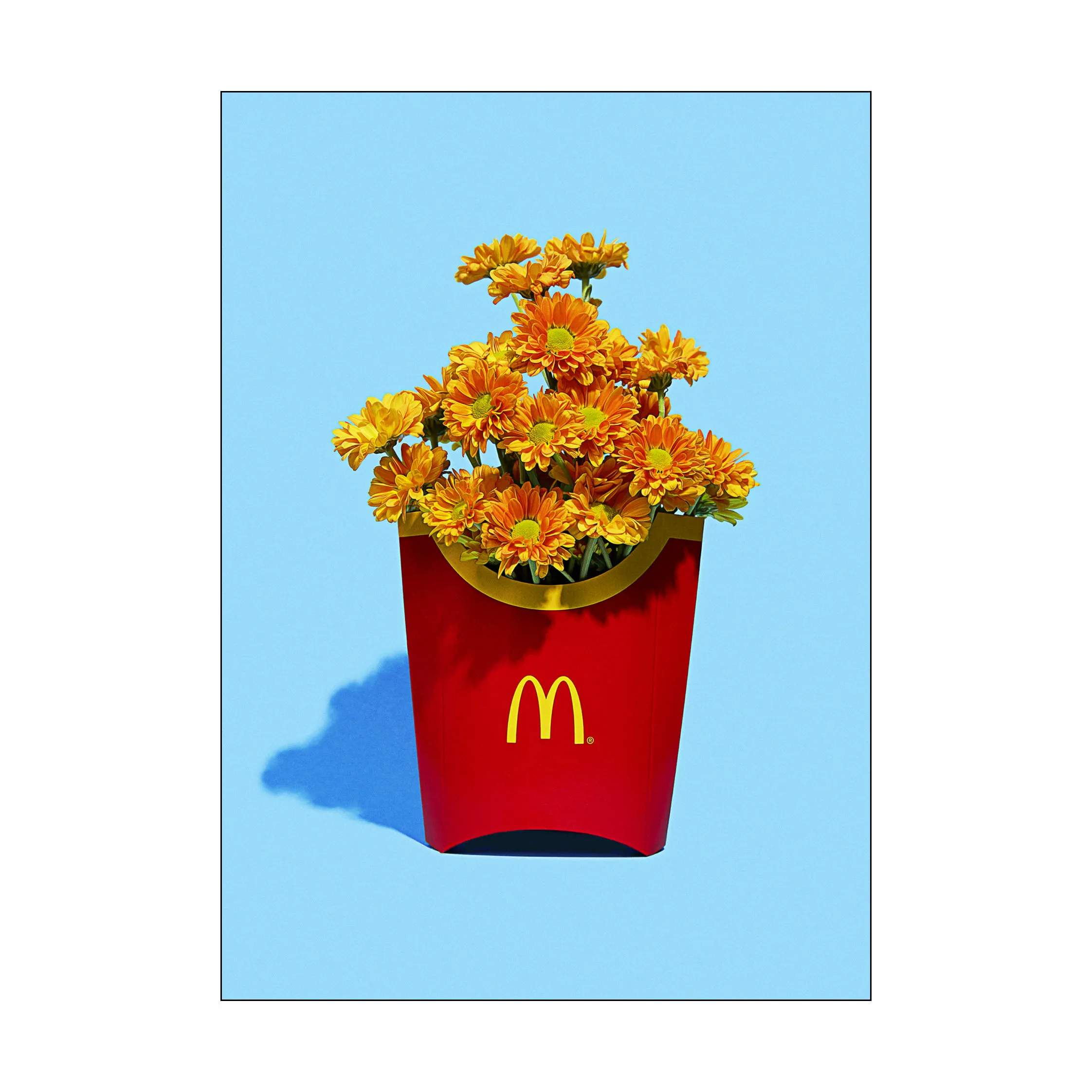 Plakat - Flower Fries, blå/rød, large