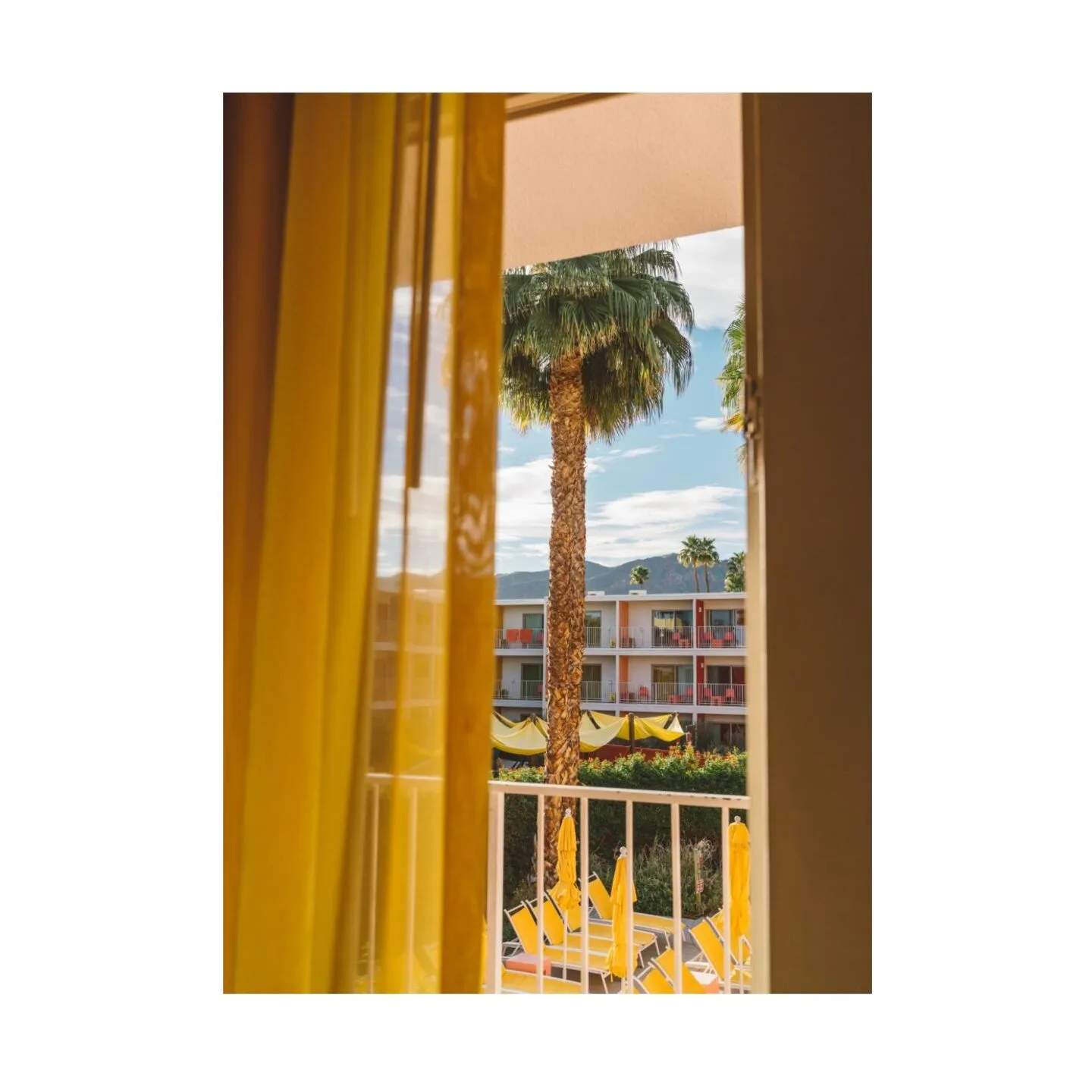 Poster&Frame Plakater Plakat - Palm springs dreams i B30 x L40 cm, 1
