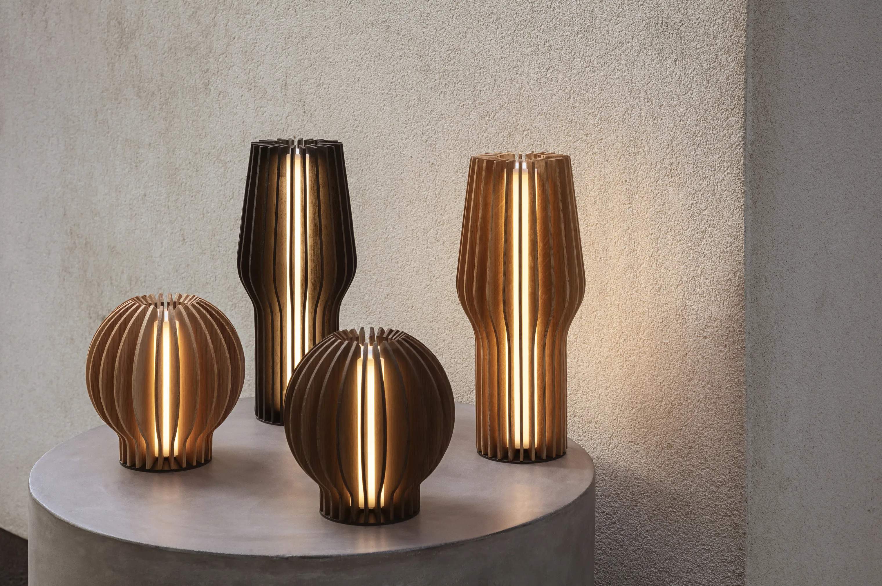 Eva Solo Bordlamper Radiant LED Lampe i Smoked oak, 2