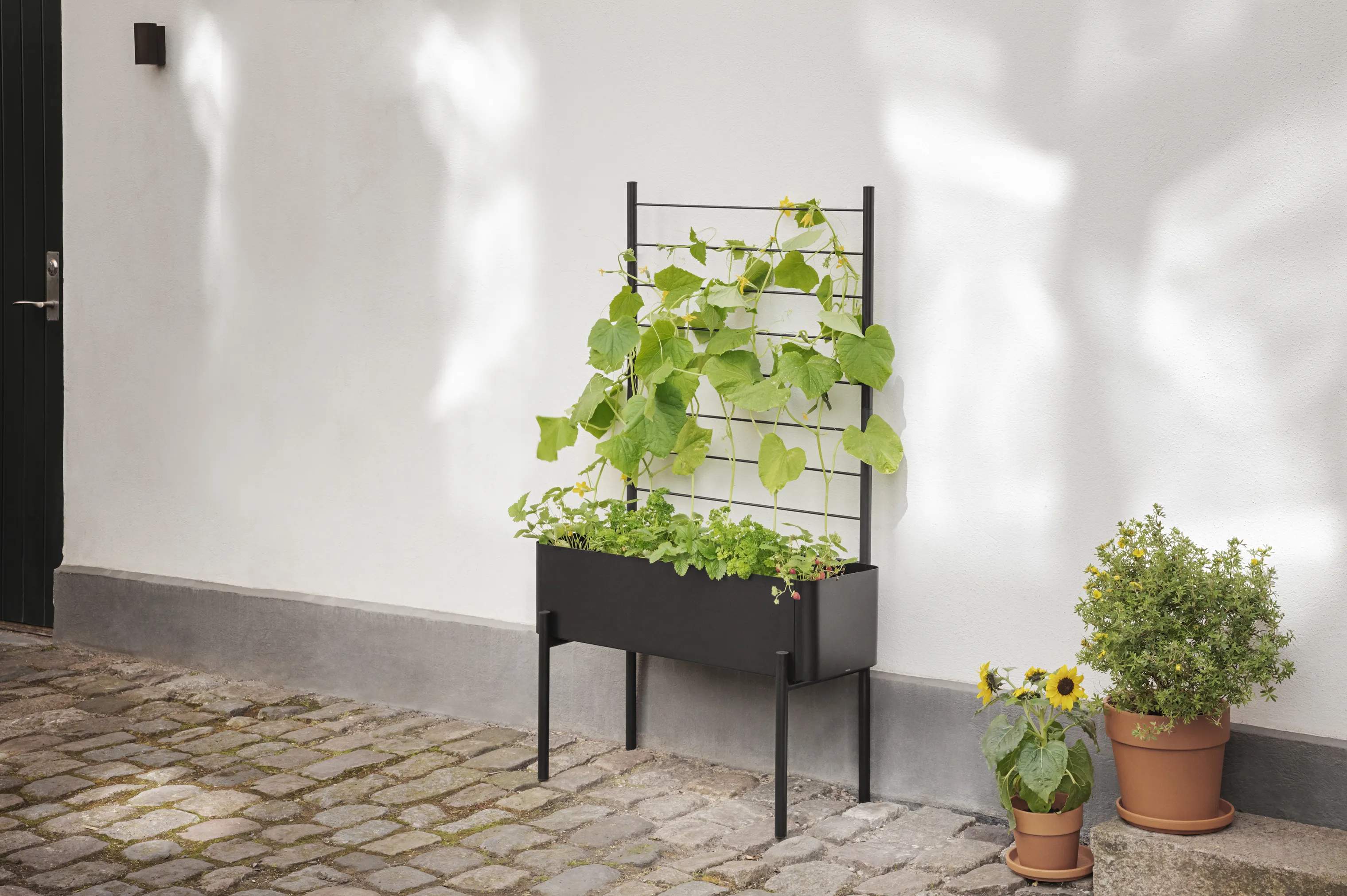 Eva Solo Øvrigt haveudstyr Simply Grow Espalier til plantekasse i H102 x B70 cm, 6