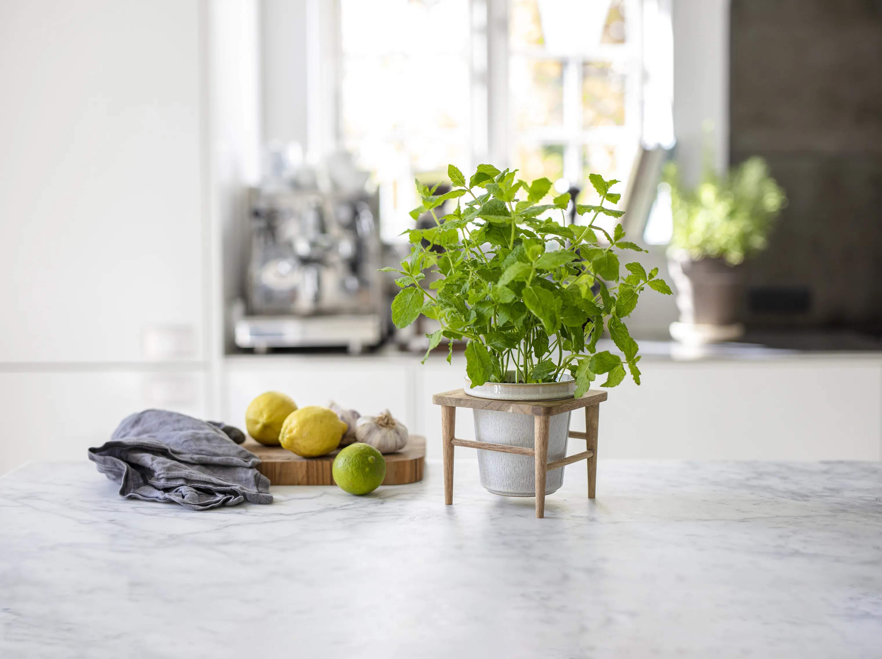 CASA Living Urtepotteskjulere Sofia Urtepotte i råhvid, 11 cm, 2