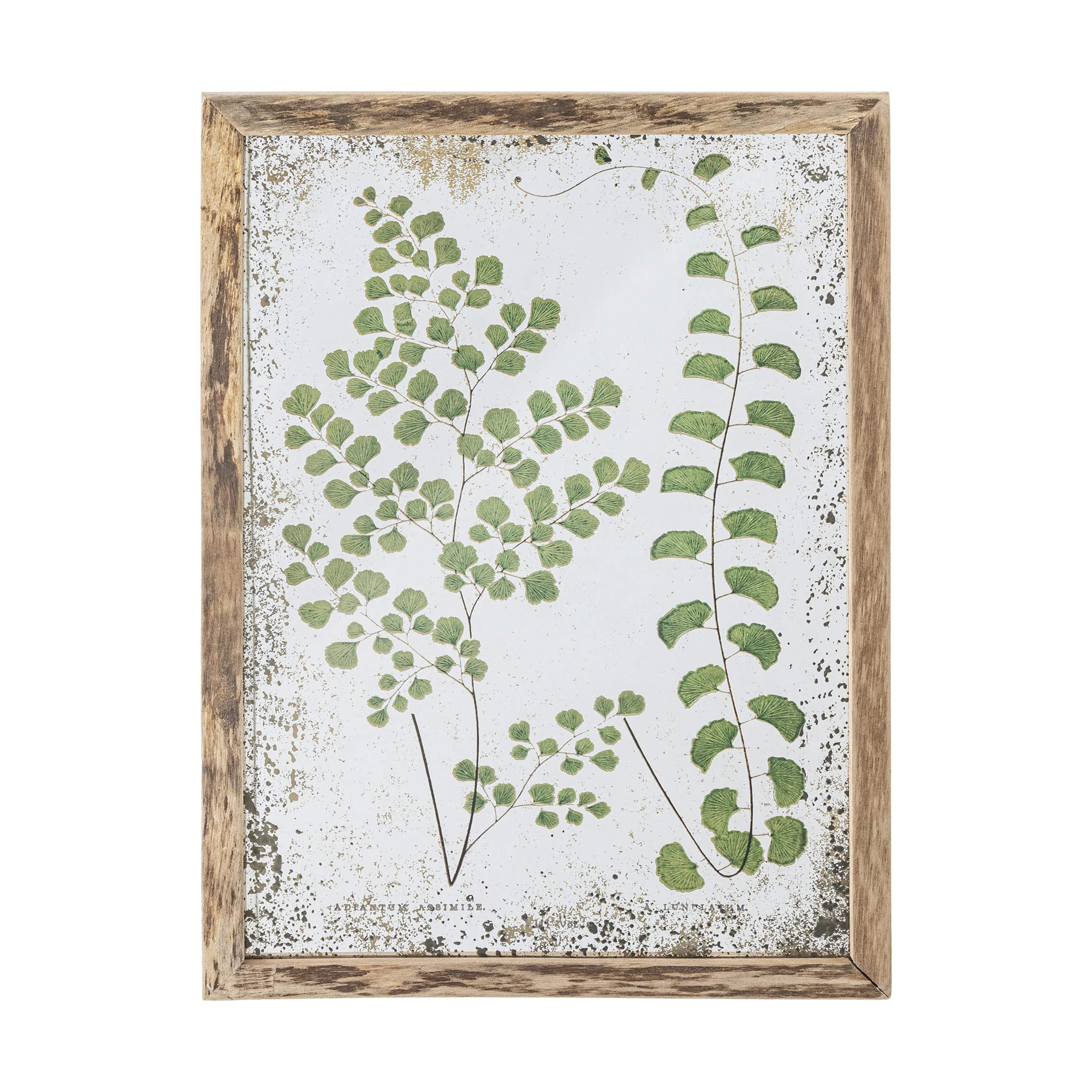 Tipper Illustration med ramme, natur, large