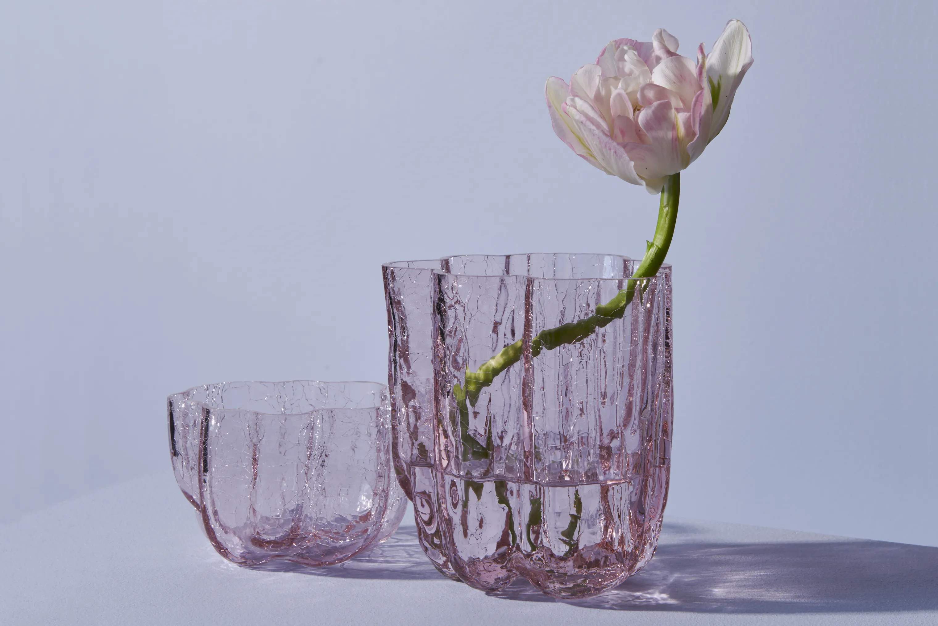 Kosta Boda Vaser Crackle Vase i Pink, 3