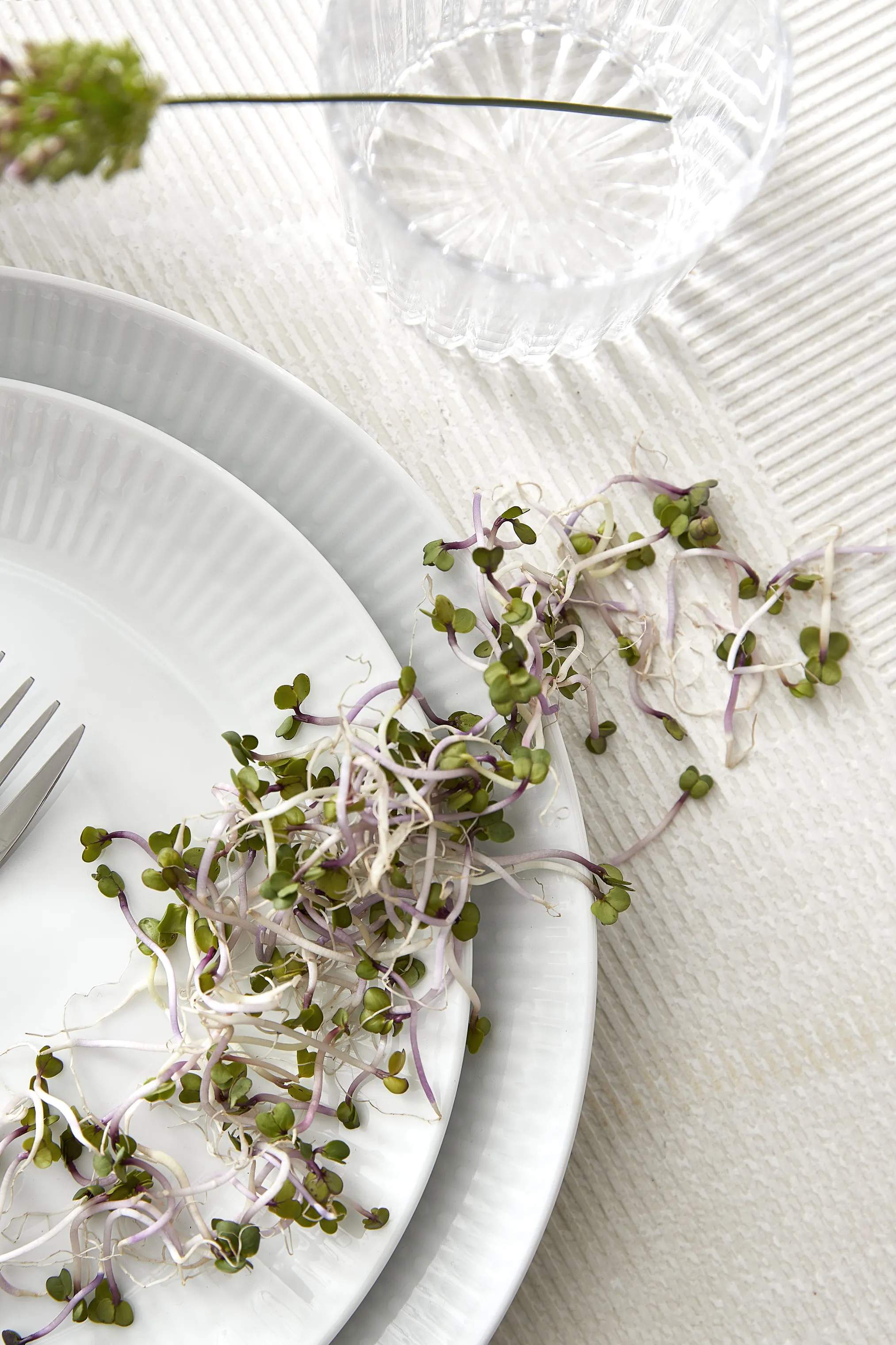 Aida Frokosttallerkener Relief Frokosttallerken - 4 stk. i Hvid, 2