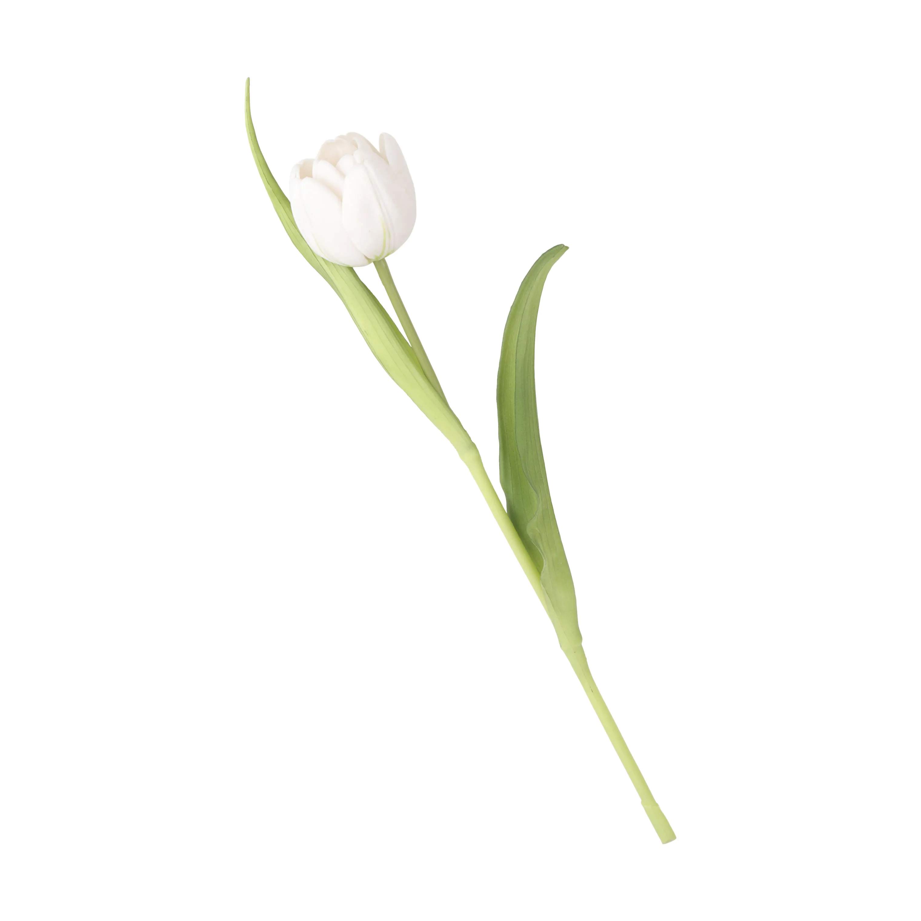 CASA Living Kunstige blomster Kunstig Blomst - Tulipan i Hvid/Grøn, 40 cm, 1
