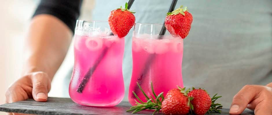 Pinklemonade Holmegaard Top