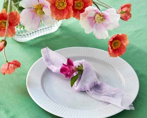 Navigation 500X400px 32