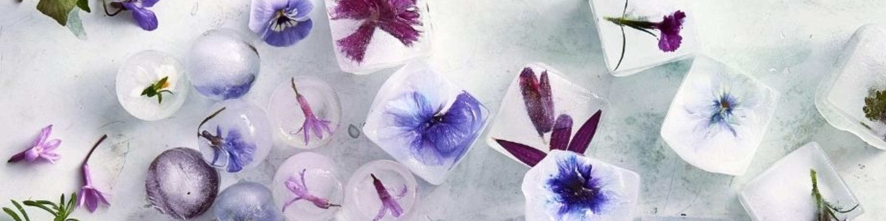 isterninger med blomster og urter