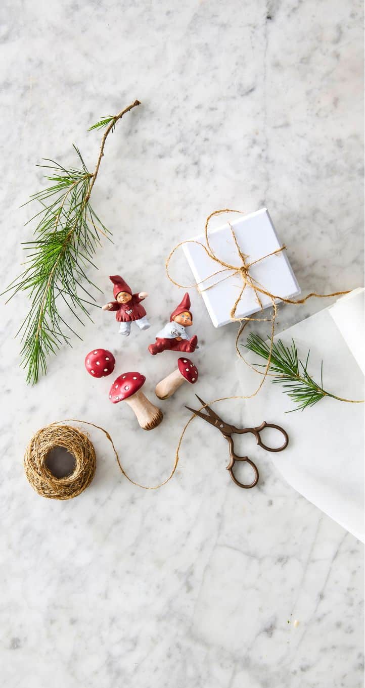 Klarborgnisser med fluesvampe