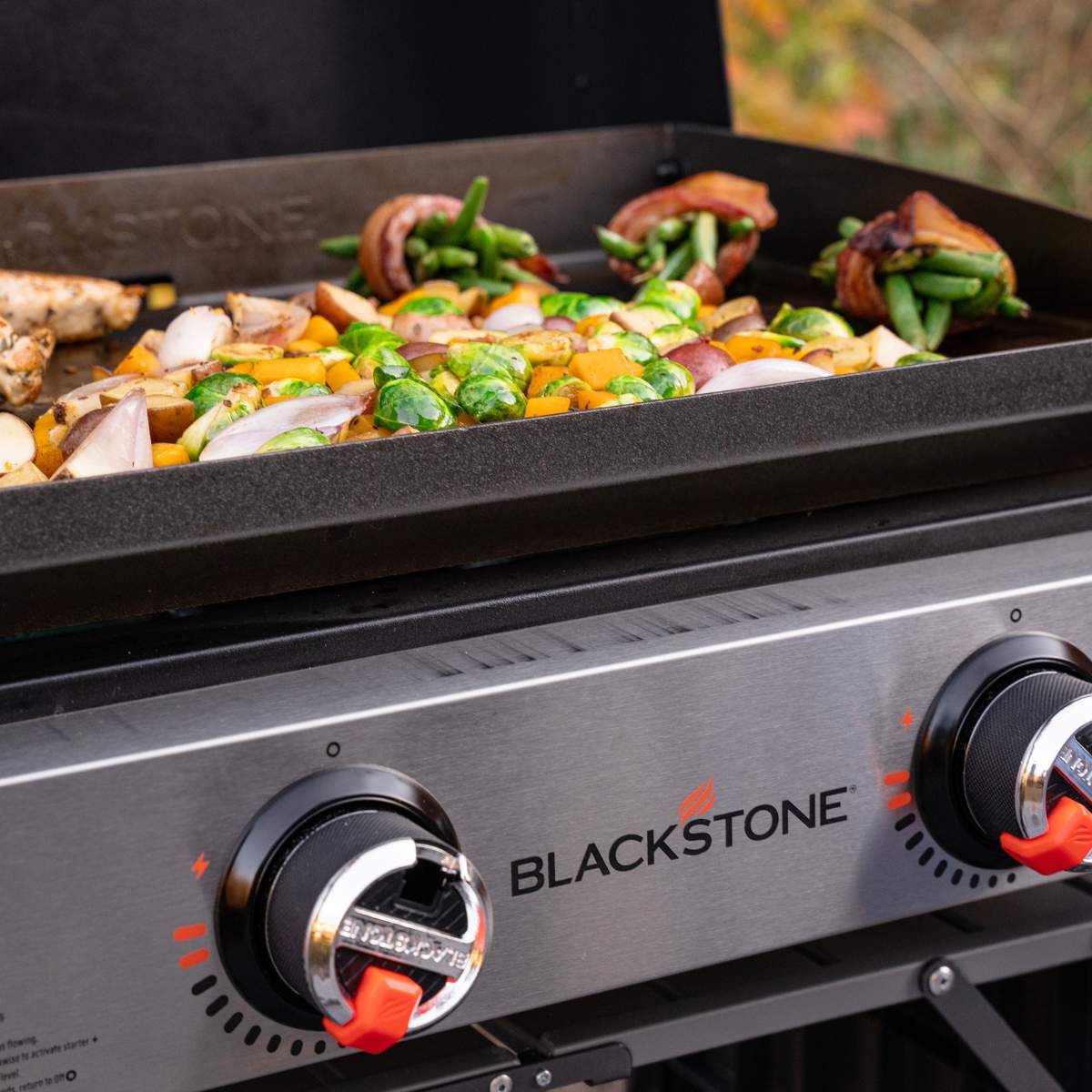 plancha grill