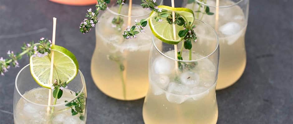 Timianlemonade Top