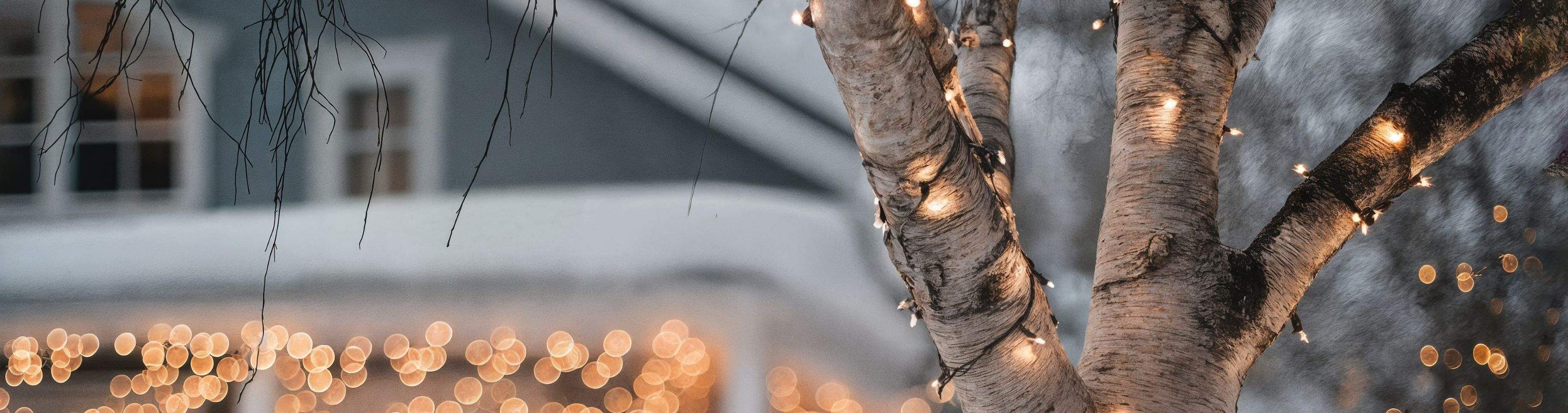 Udeliv 3040 X 800