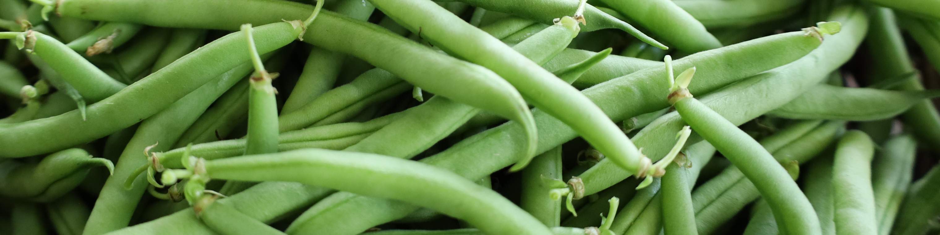 bønnesalat med nødder og ost