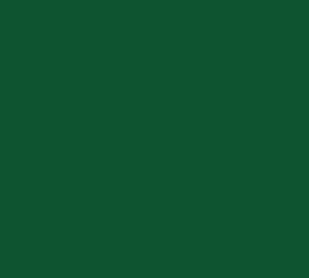Categories 1000 X 900 2024 09 24T135503200 (1)