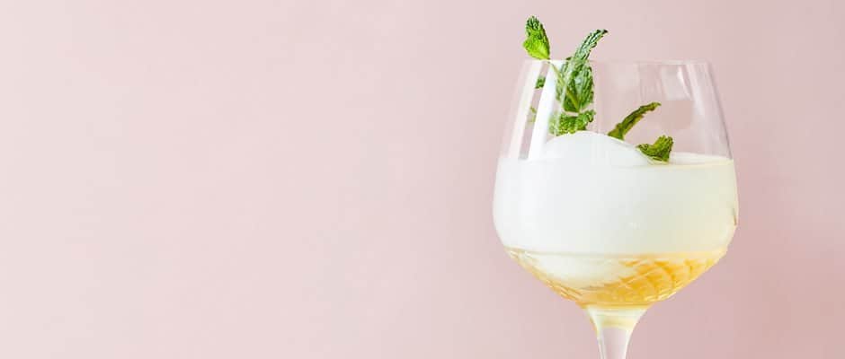Gin Hass Top
