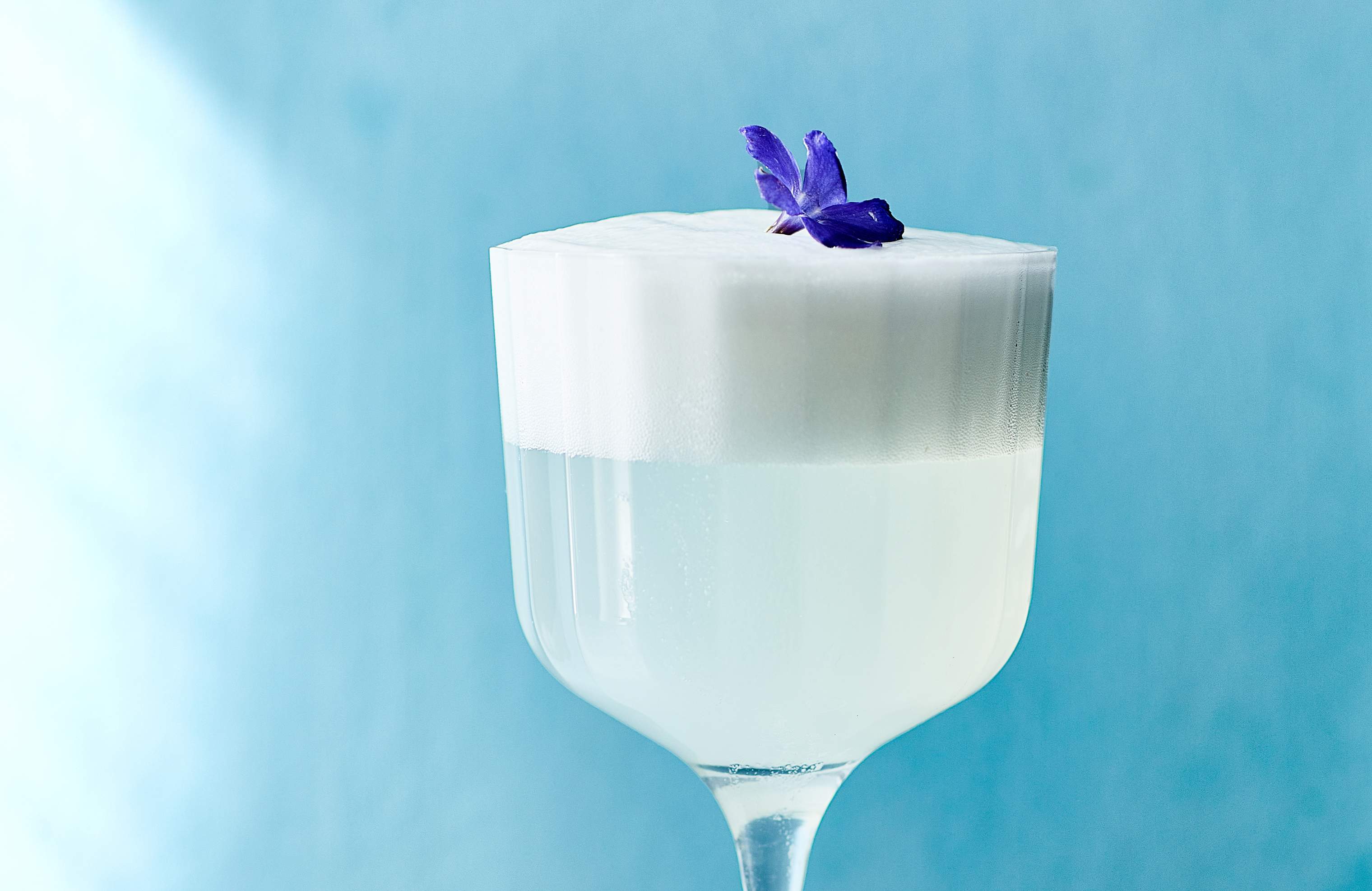 Silver Gin Fizz Top