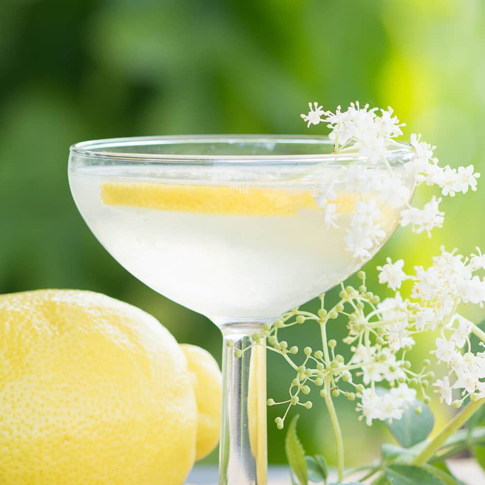 velkomstdrinks opskrifter