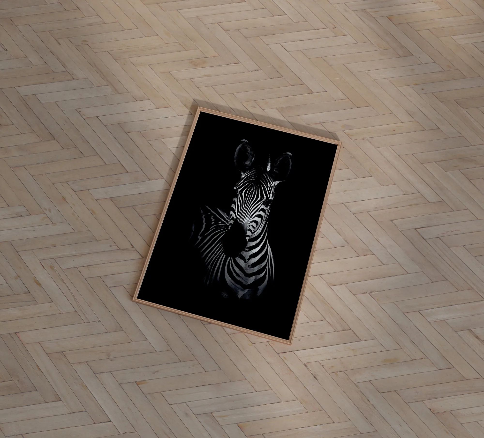 Poster&Frame Plakater Plakat - The Zebra i Sort, B50 x L70 cm, 2