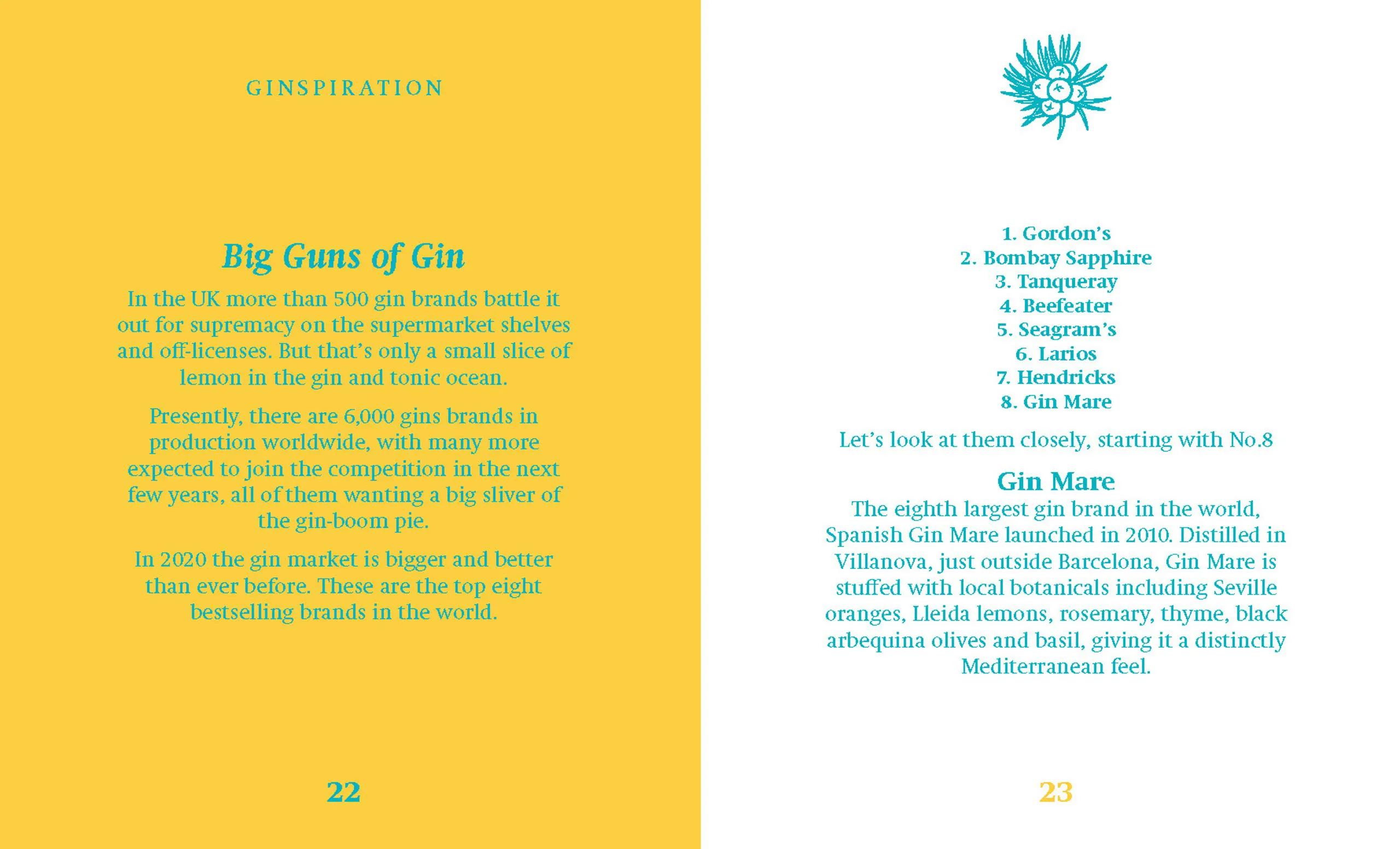 New Mags Kogebøger The Little Book of Gin i Blå, 2
