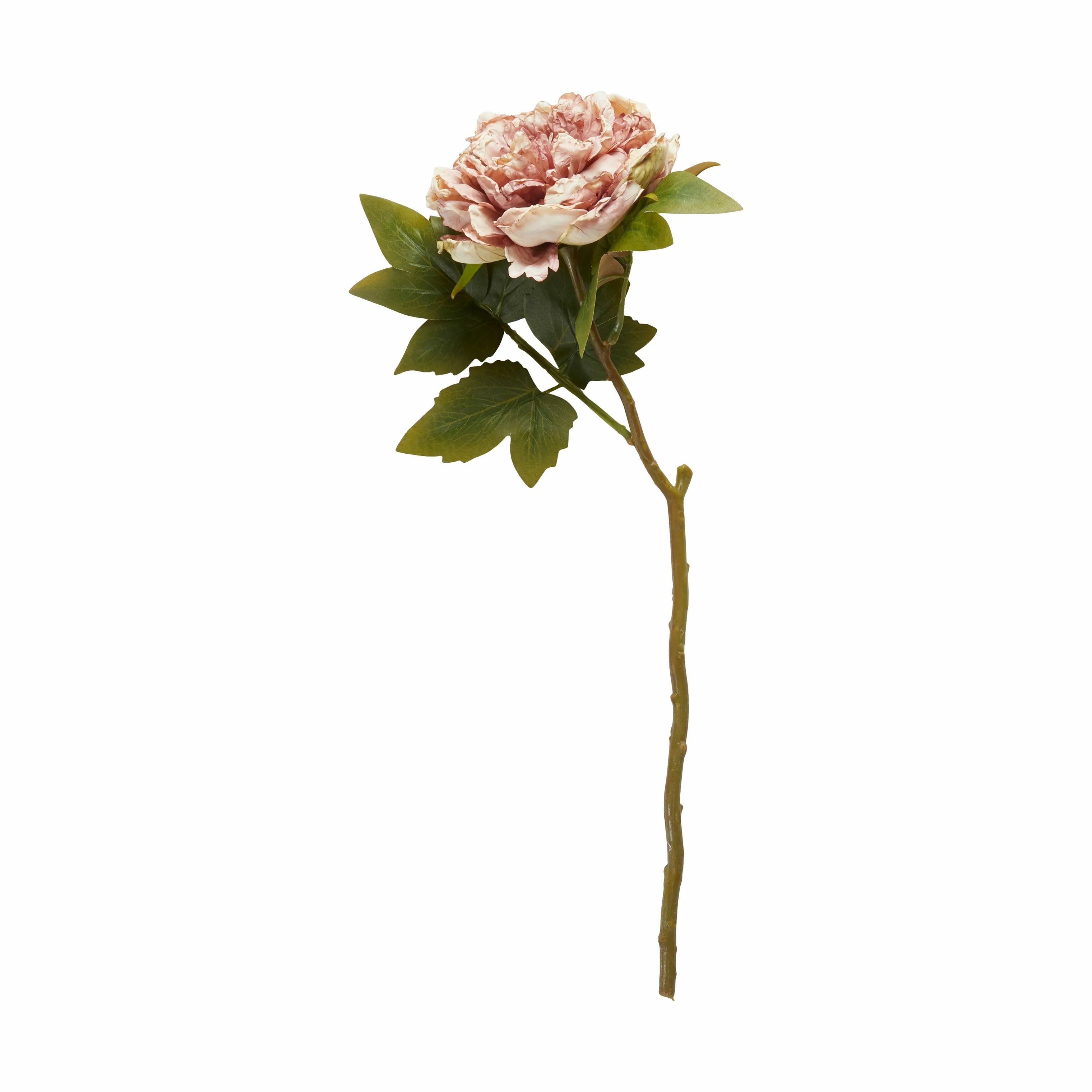 Speedtsberg Kunstige blomster Kunstig Blomst - Peon i lyserød, 1