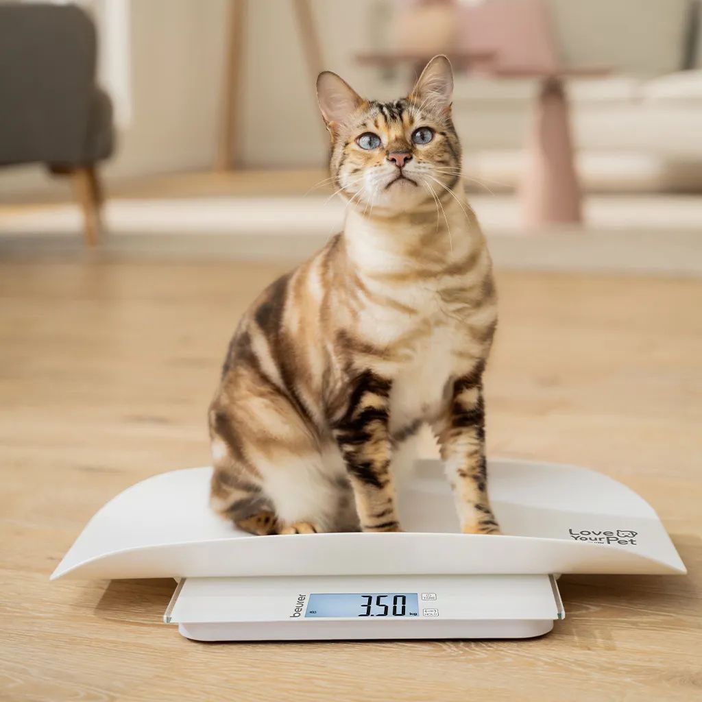 Beurer Bagevægte PetCare PP170 Polly Kæledyrsvægt i Hvid, 2