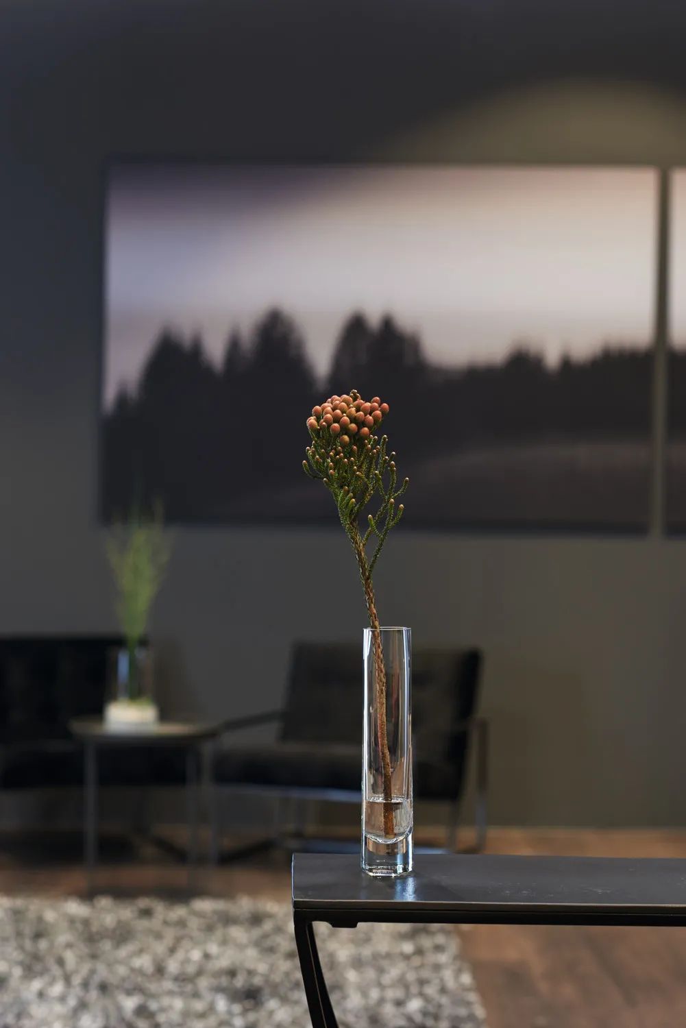 Leonardo Vaser Novara Solifleur Vase i Klar, 24 cm, 2