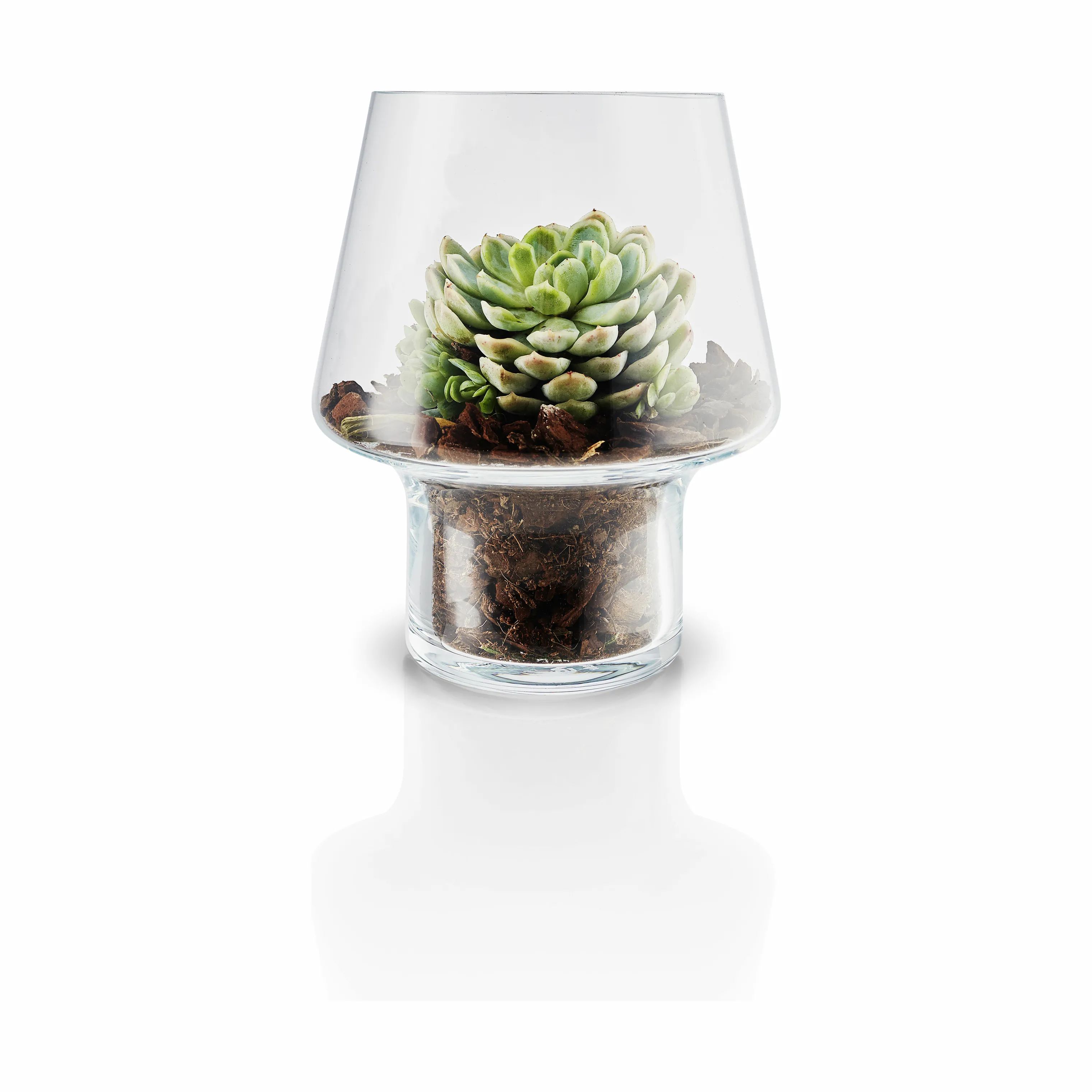 Eva Solo Vaser Sukkulent Vase i Klar, 18,3 cm, 1