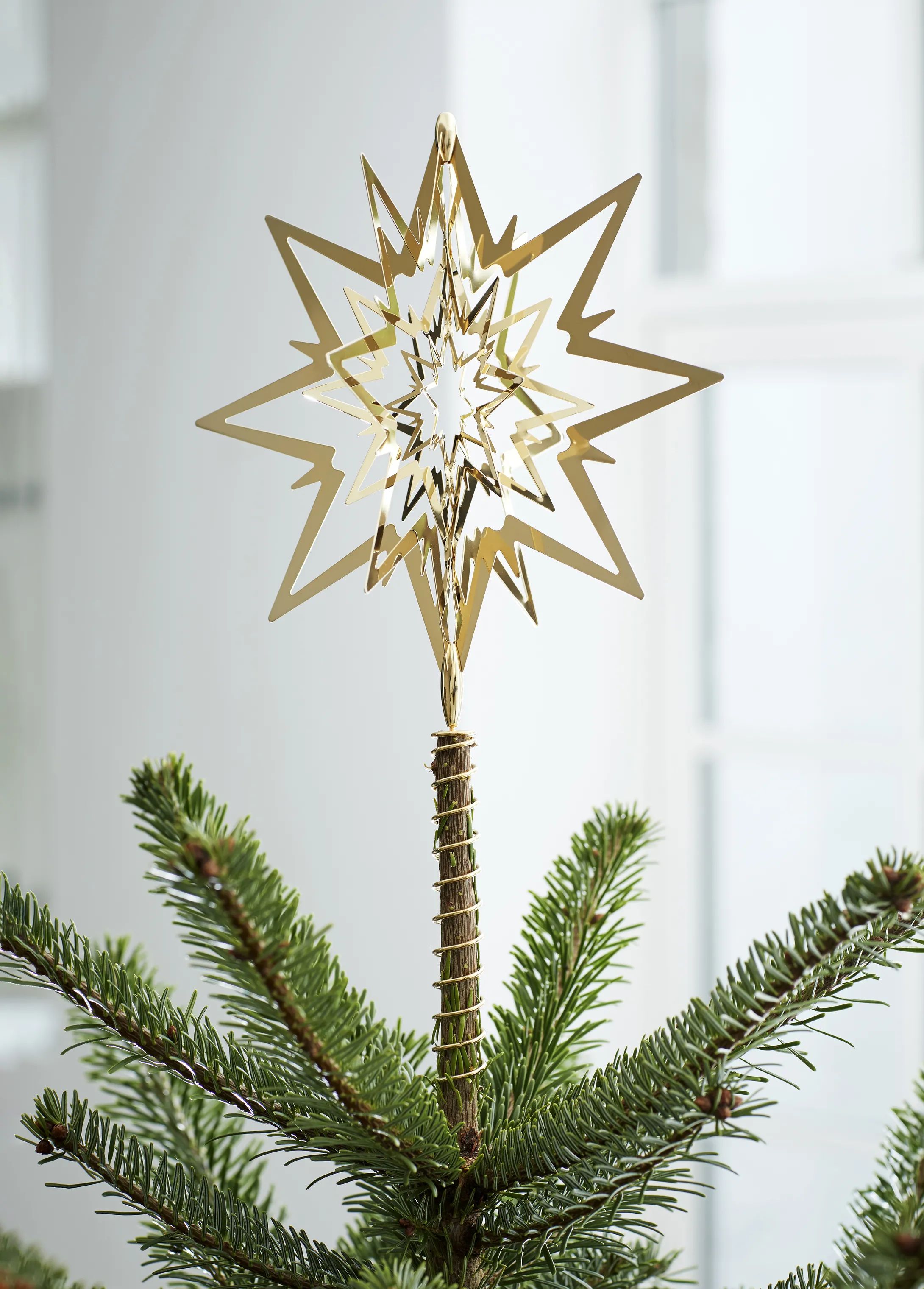 Georg Jensen Topstjerner Christmas Collectibles 1993 Topstjerne - Stor i Guldfarvet, Stor, 3