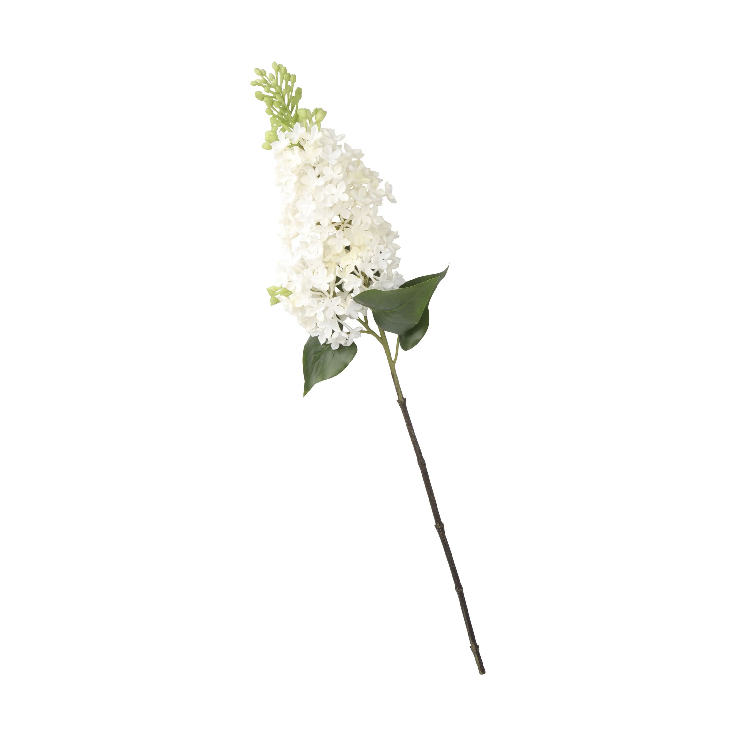 CASA Living Kunstige blomster Kunstig Blomst - Syrengren i Hvid/grøn, 71 cm, 1