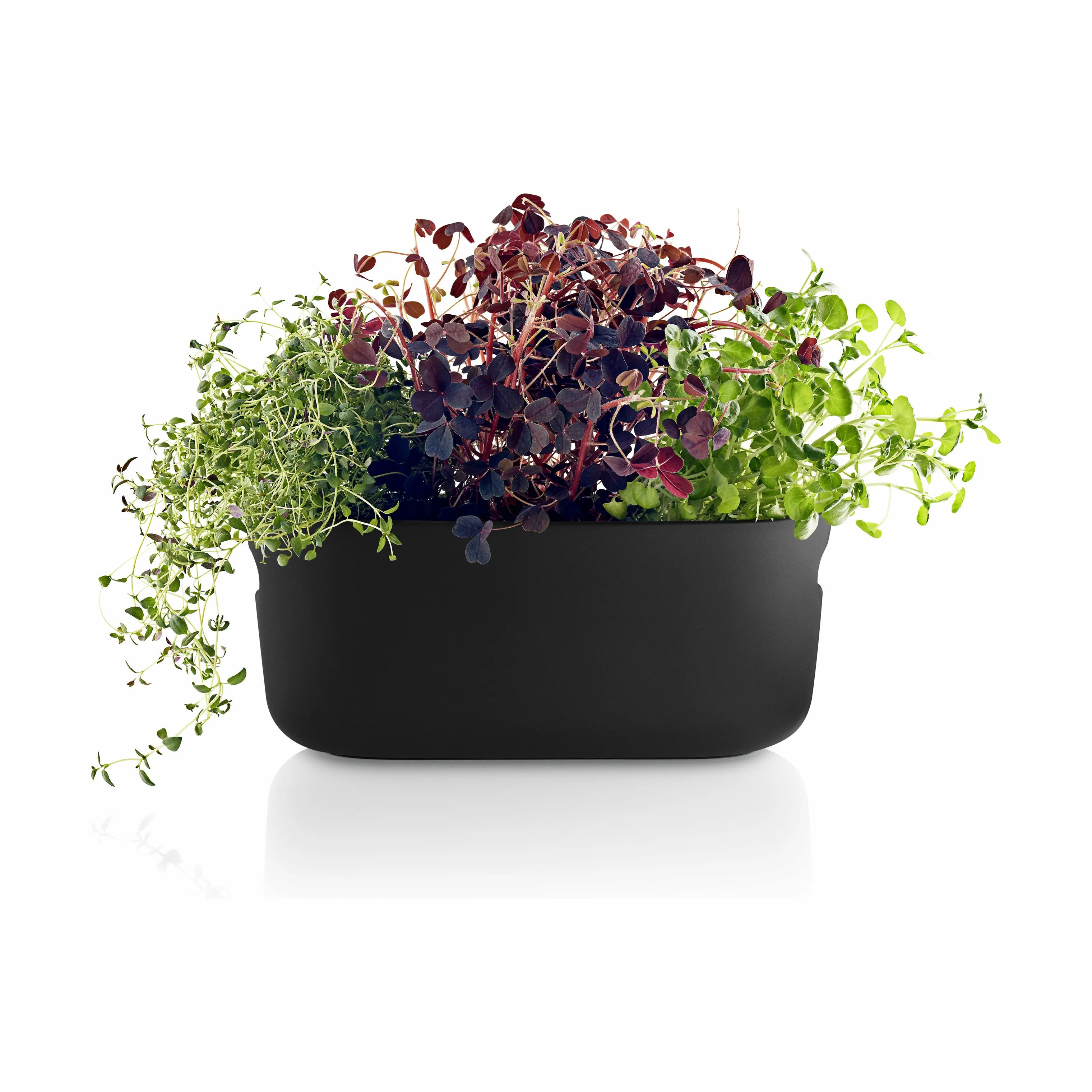 Eva Solo Plantekrukker Selvvandende Herb Organiser i Black, B13 x L31 cm, 4