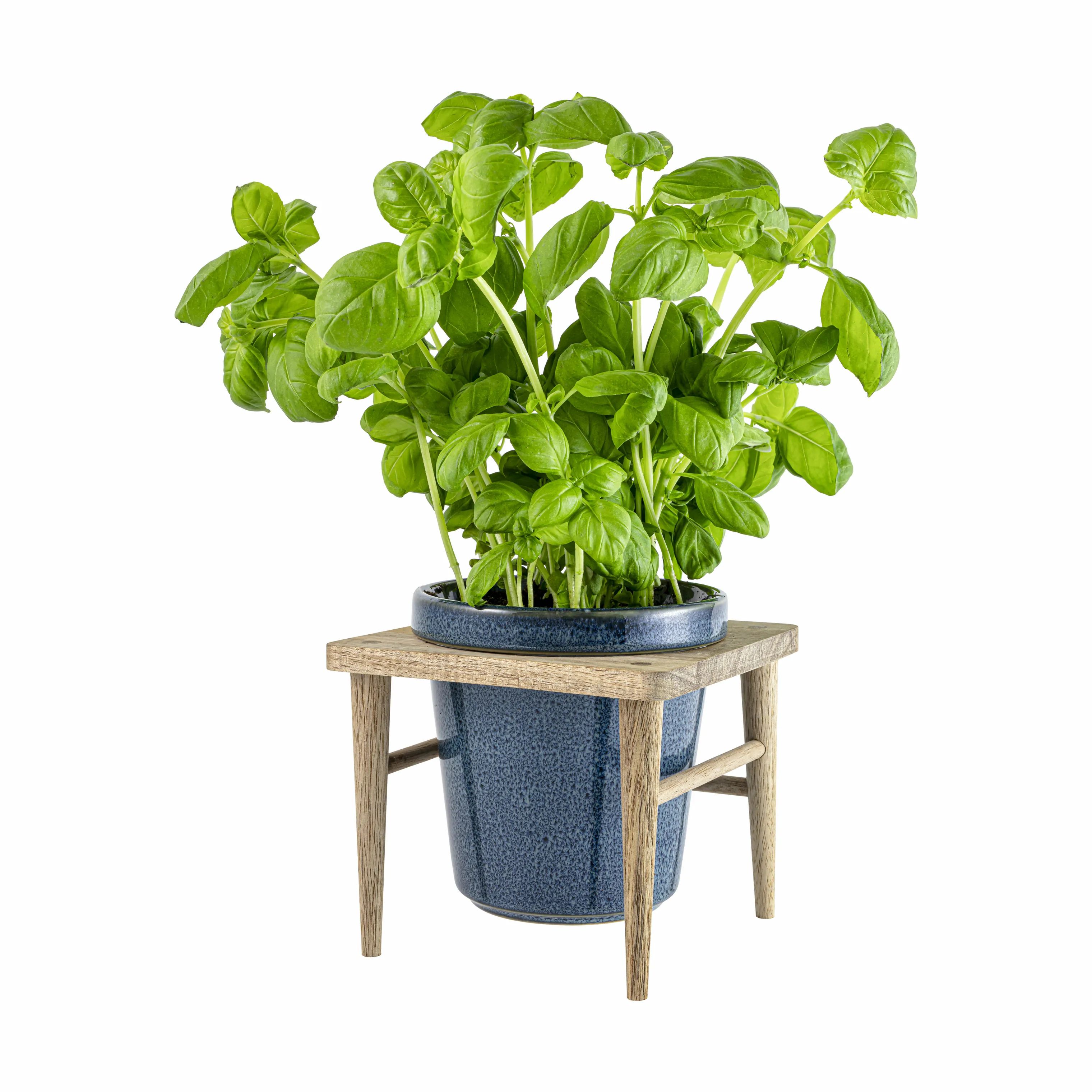 CASA Living Urtepotteskjulere Sofia Urtepotte i Blå, 11 cm, 3